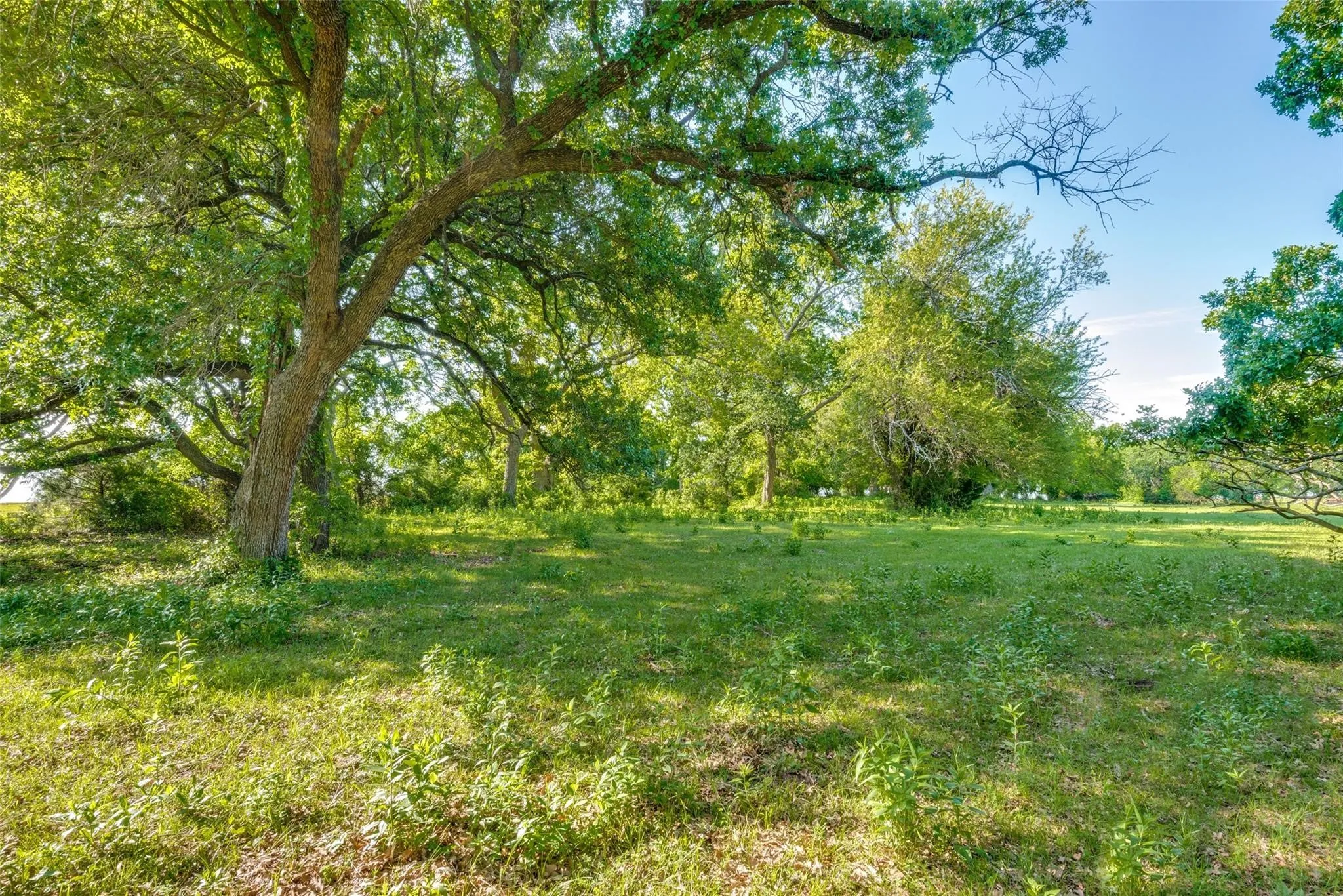Unimproved Land For Sale in Grayson County , TBD Hwy 377, Pilot Point, Texas 76258, 0, 0, Garage spaces, 0 Sqft, built in 0, mls#21140968, Real Estate Agent in Pilot Point, Homes For Sale in Grayson county, Homes For Sale in Pilot Point, Realtor in Pilot Point Texas, Real Estate Brokerage Independent Realty Texas, Luminita Cordes Realtor