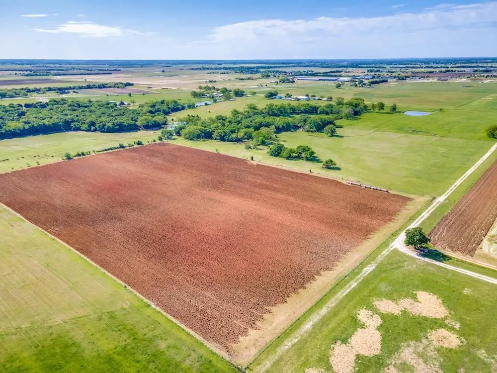 Unimproved Land For Sale in Grayson County , TBD Hwy 377, Pilot Point, Texas 76258, 0, 0, Garage spaces, 0 Sqft, built in 0, mls#21140968, Real Estate Agent in Pilot Point, Homes For Sale in Grayson county, Homes For Sale in Pilot Point, Realtor in Pilot Point Texas, Real Estate Brokerage Independent Realty Texas, Luminita Cordes Realtor