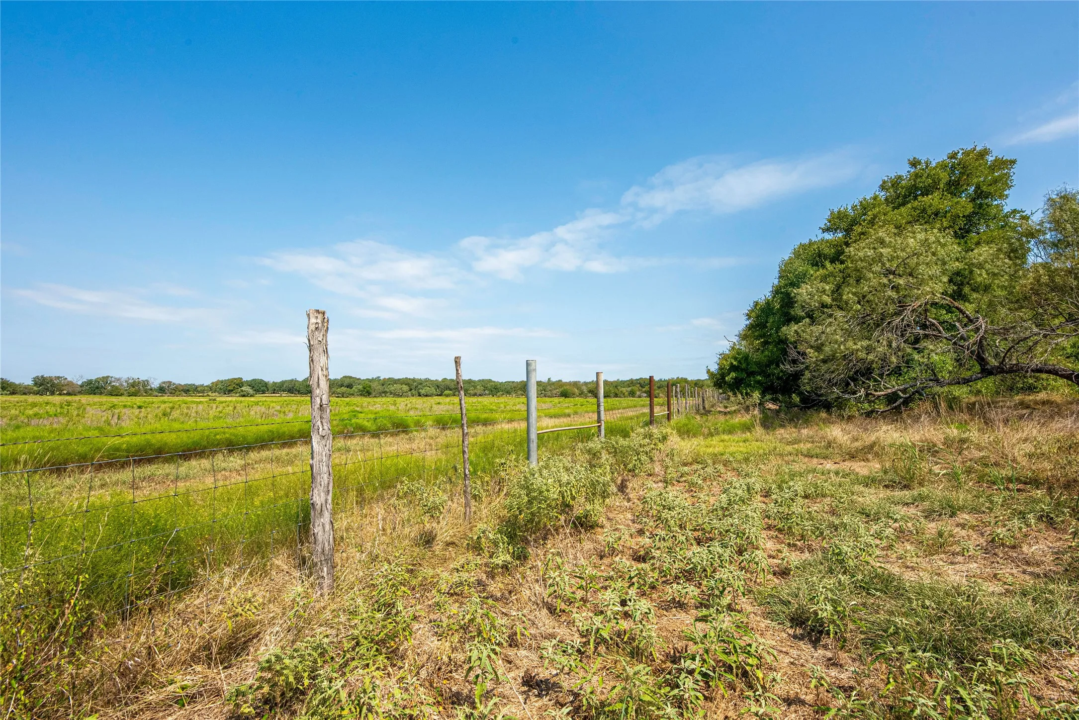 Farm For Sale in Erath County , 7435 County Road 265, Dublin, Texas 76446, 4 Bedrooms, 3 Bathrooms, Garage spaces, 2,304 Sqft, built in 2003, Price $3,900,000, mls#21143702, Real Estate Agent in Dublin, Homes For Sale in Erath county, Homes For Sale in Dublin, Realtor in Dublin Texas, Real Estate Brokerage Independent Realty Texas, Luminita Cordes Realtor