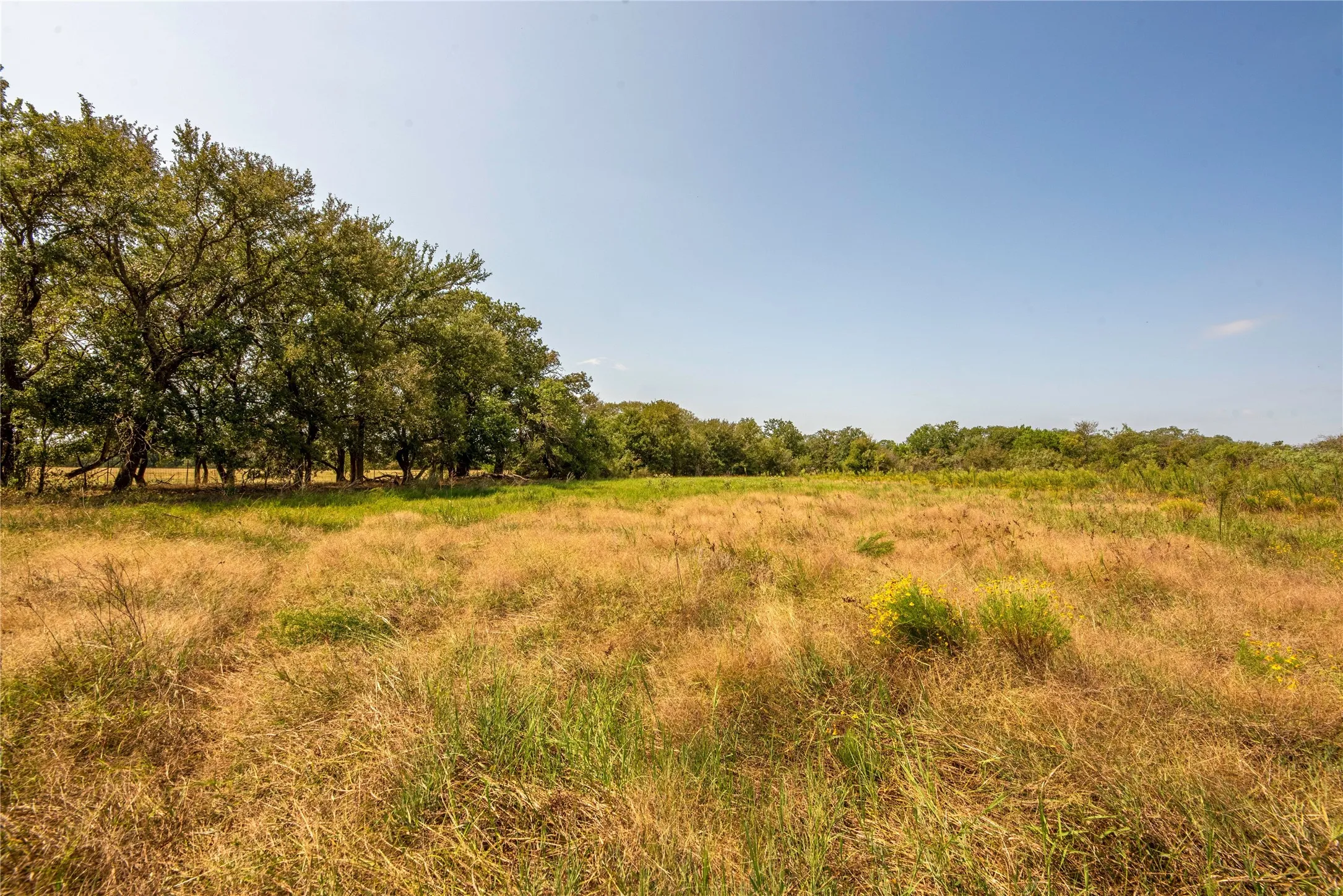 Farm For Sale in Erath County , 7435 County Road 265, Dublin, Texas 76446, 4 Bedrooms, 3 Bathrooms, Garage spaces, 2,304 Sqft, built in 2003, Price $3,900,000, mls#21143702, Real Estate Agent in Dublin, Homes For Sale in Erath county, Homes For Sale in Dublin, Realtor in Dublin Texas, Real Estate Brokerage Independent Realty Texas, Luminita Cordes Realtor