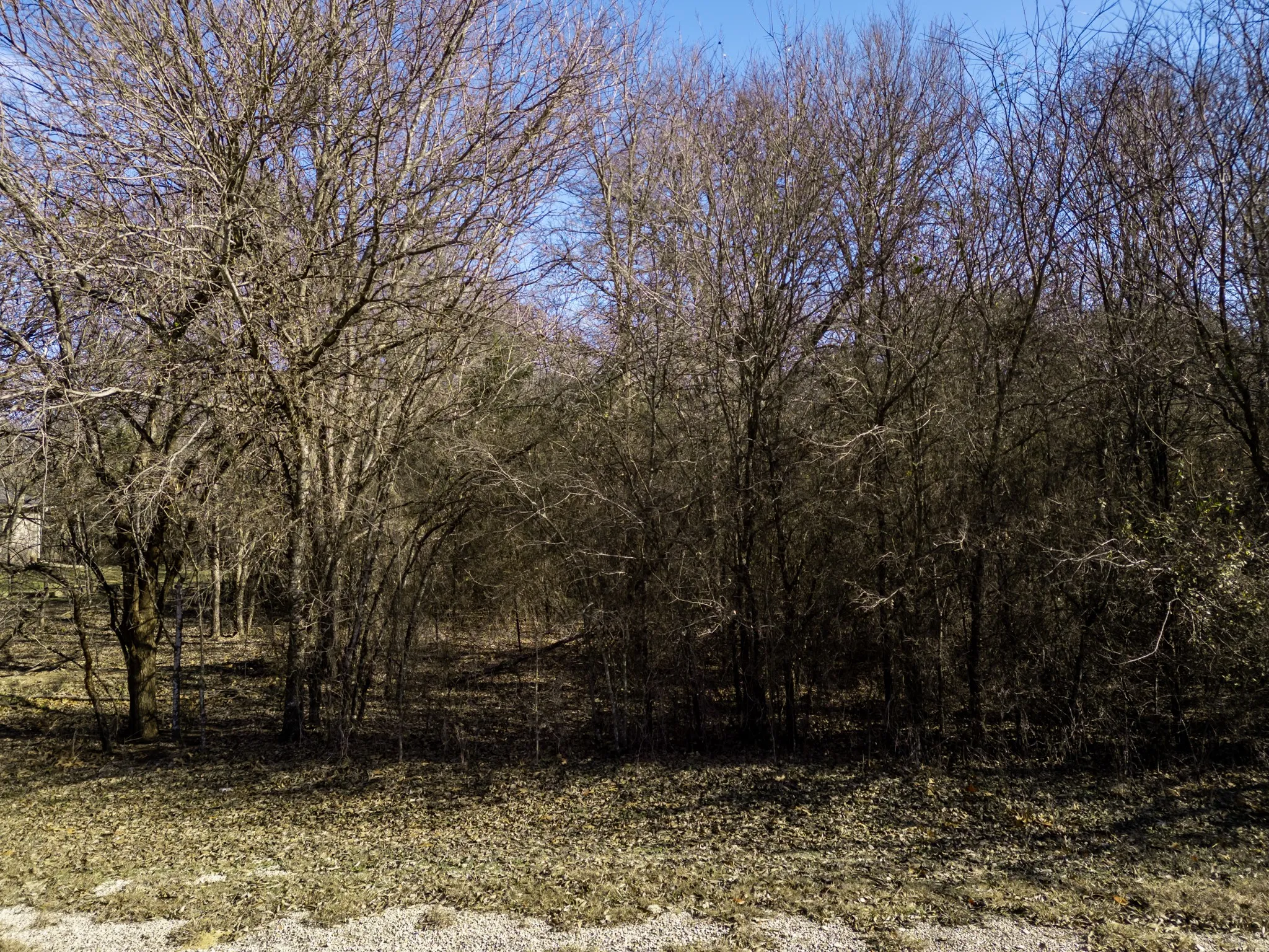 Unimproved Land For Sale in Hill County , 12039 Shady Creek Drive, Whitney, Texas 76692, 0, 0, Garage spaces, 0 Sqft, built in 0, Price $11,000, mls#21141104, Real Estate Agent in Whitney, Homes For Sale in Hill county, Homes For Sale in Whitney, Realtor in Whitney Texas, Real Estate Brokerage Independent Realty Texas, Luminita Cordes Realtor