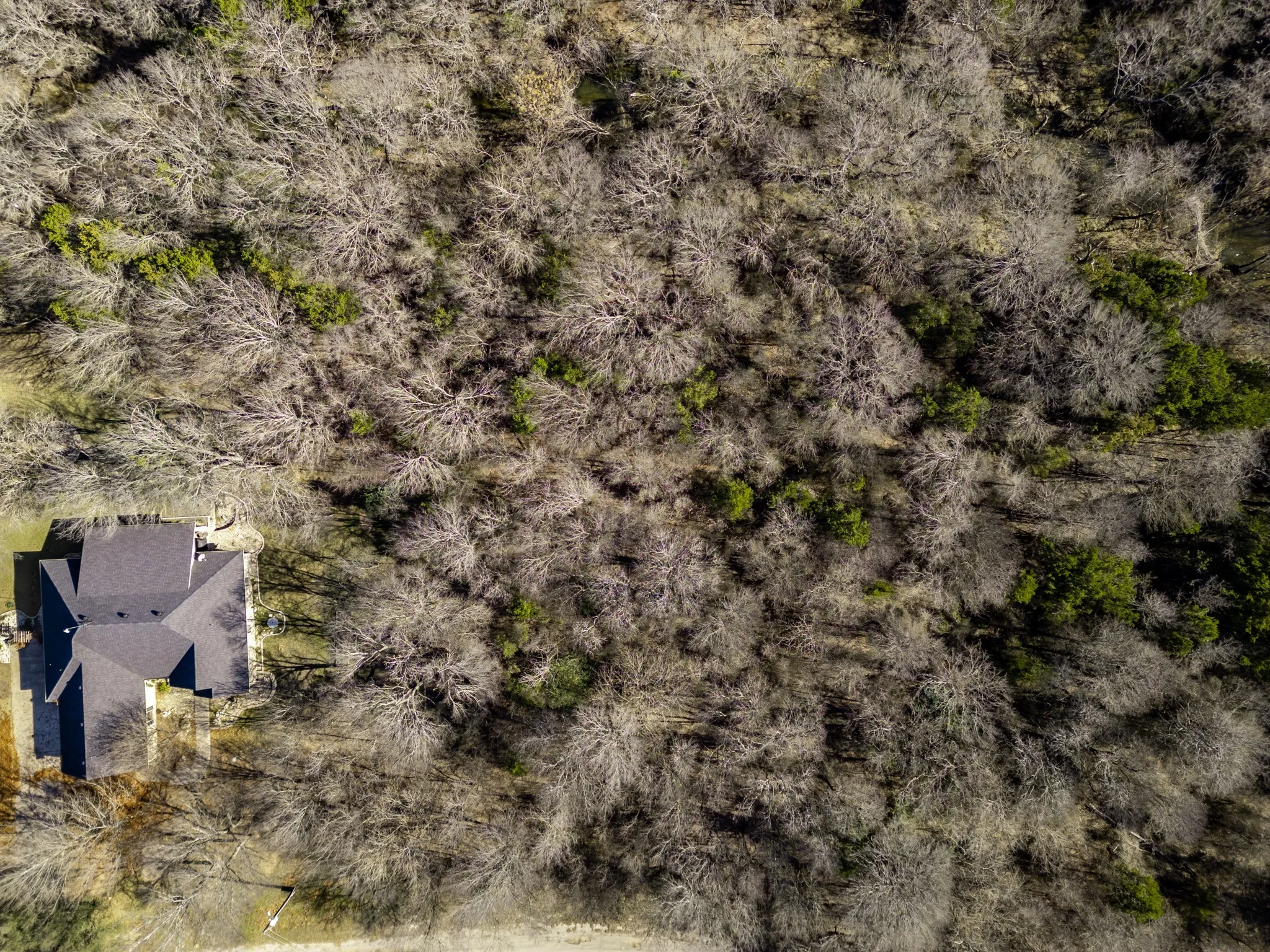 Unimproved Land For Sale in Hill County , 12039 Shady Creek Drive, Whitney, Texas 76692, 0, 0, Garage spaces, 0 Sqft, built in 0, Price $11,000, mls#21141104, Real Estate Agent in Whitney, Homes For Sale in Hill county, Homes For Sale in Whitney, Realtor in Whitney Texas, Real Estate Brokerage Independent Realty Texas, Luminita Cordes Realtor