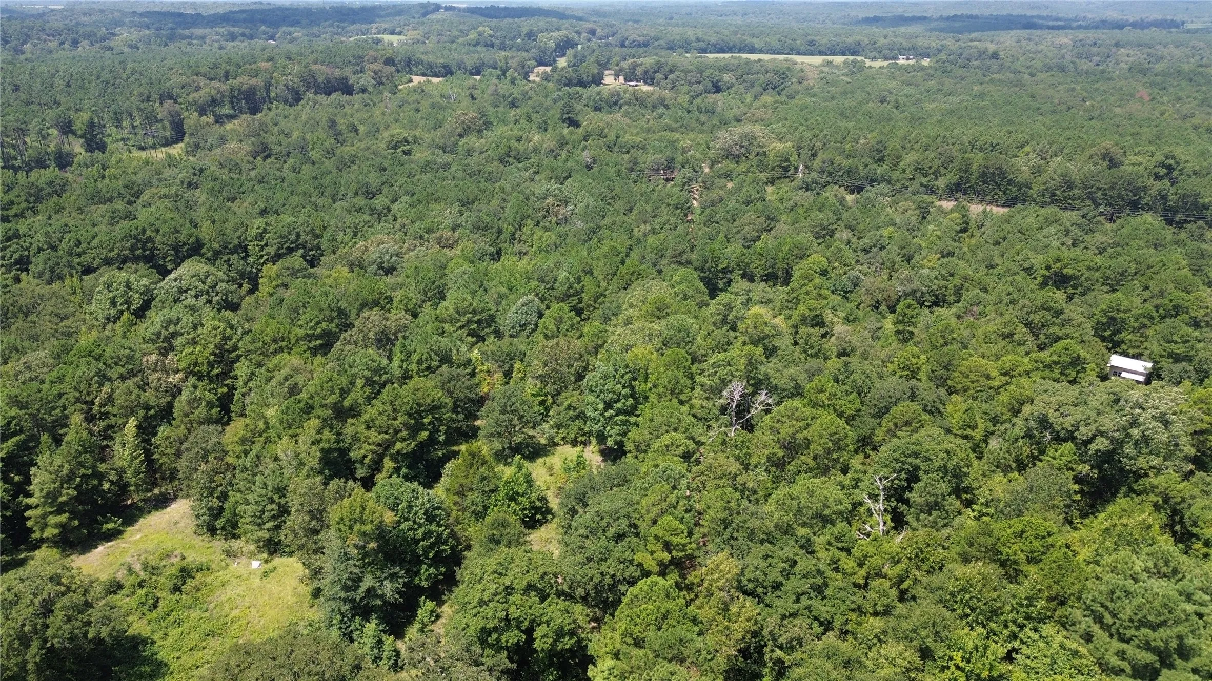 Unimproved Land For Sale in Cass County , TBD County Road 2920, Hughes Springs, Texas 75656, 0, 0, Garage spaces, 0 Sqft, built in 0, Price $249,900, mls#21142080, Real Estate Agent in Hughes Springs, Homes For Sale in Cass county, Homes For Sale in Hughes Springs, Realtor in Hughes Springs Texas, Real Estate Brokerage Independent Realty Texas, Luminita Cordes Realtor