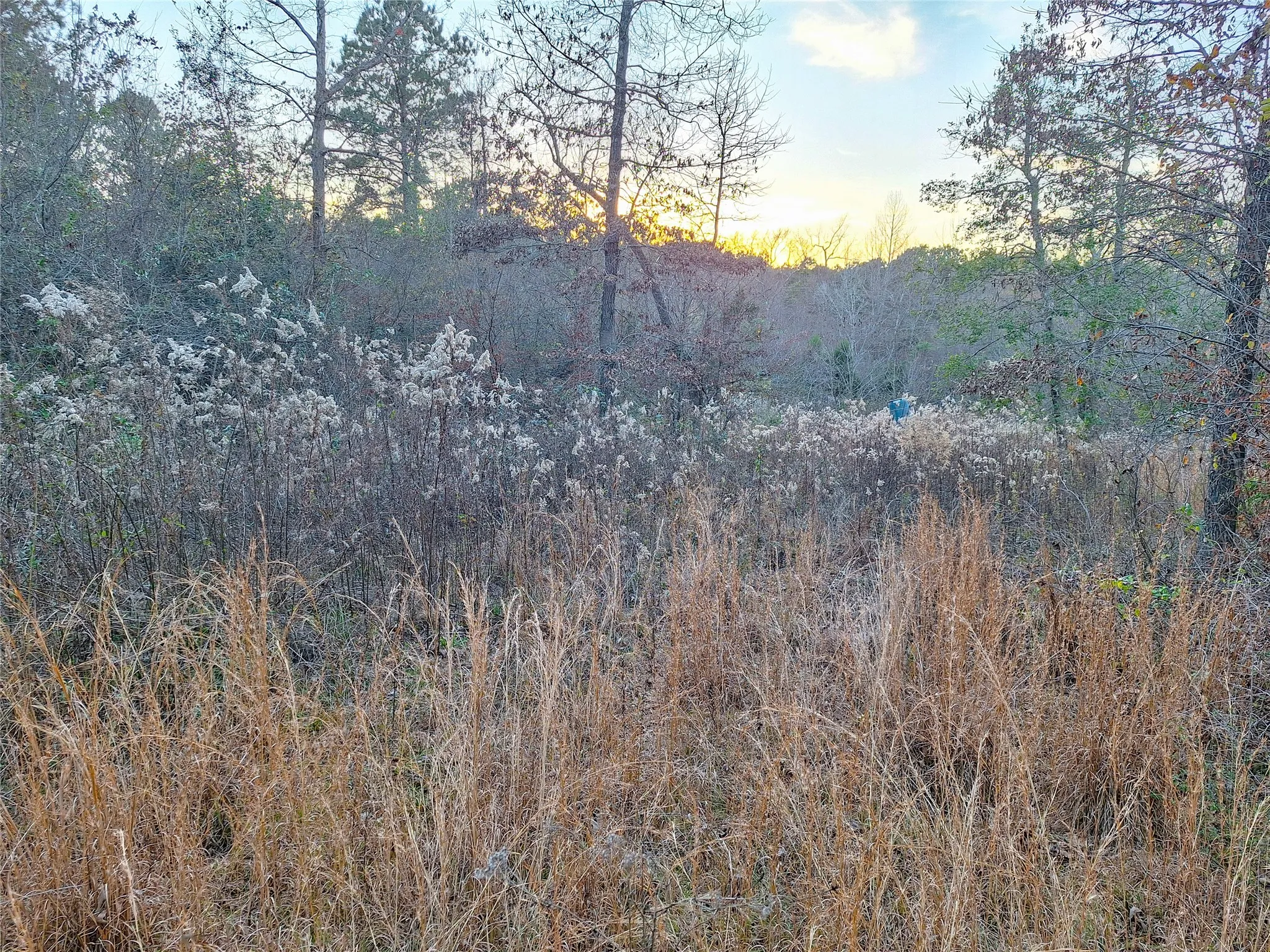 Unimproved Land For Sale in Cass County , TBD County Road 2920, Hughes Springs, Texas 75656, 0, 0, Garage spaces, 0 Sqft, built in 0, Price $249,900, mls#21142080, Real Estate Agent in Hughes Springs, Homes For Sale in Cass county, Homes For Sale in Hughes Springs, Realtor in Hughes Springs Texas, Real Estate Brokerage Independent Realty Texas, Luminita Cordes Realtor