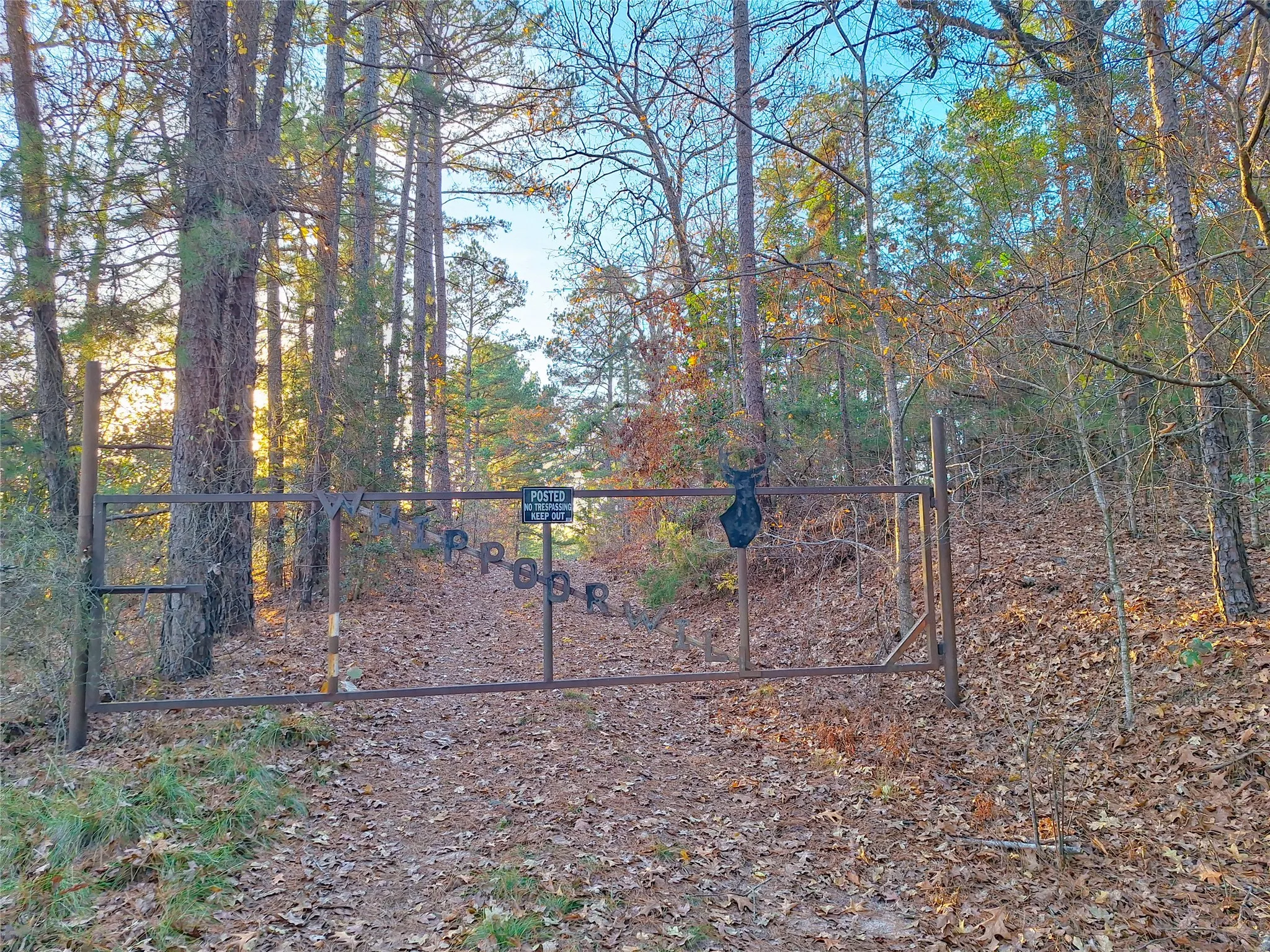 Unimproved Land For Sale in Cass County , TBD County Road 2920, Hughes Springs, Texas 75656, 0, 0, Garage spaces, 0 Sqft, built in 0, Price $249,900, mls#21142080, Real Estate Agent in Hughes Springs, Homes For Sale in Cass county, Homes For Sale in Hughes Springs, Realtor in Hughes Springs Texas, Real Estate Brokerage Independent Realty Texas, Luminita Cordes Realtor