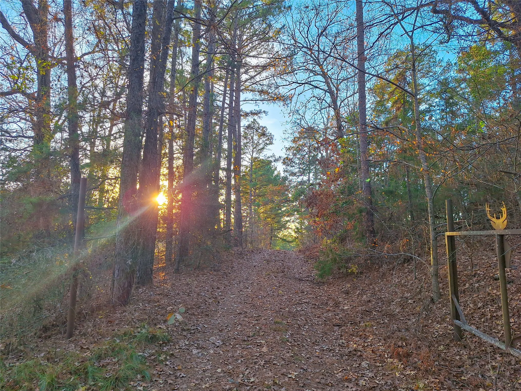 Unimproved Land For Sale in Cass County , TBD County Road 2920, Hughes Springs, Texas 75656, 0, 0, Garage spaces, 0 Sqft, built in 0, Price $249,900, mls#21142080, Real Estate Agent in Hughes Springs, Homes For Sale in Cass county, Homes For Sale in Hughes Springs, Realtor in Hughes Springs Texas, Real Estate Brokerage Independent Realty Texas, Luminita Cordes Realtor