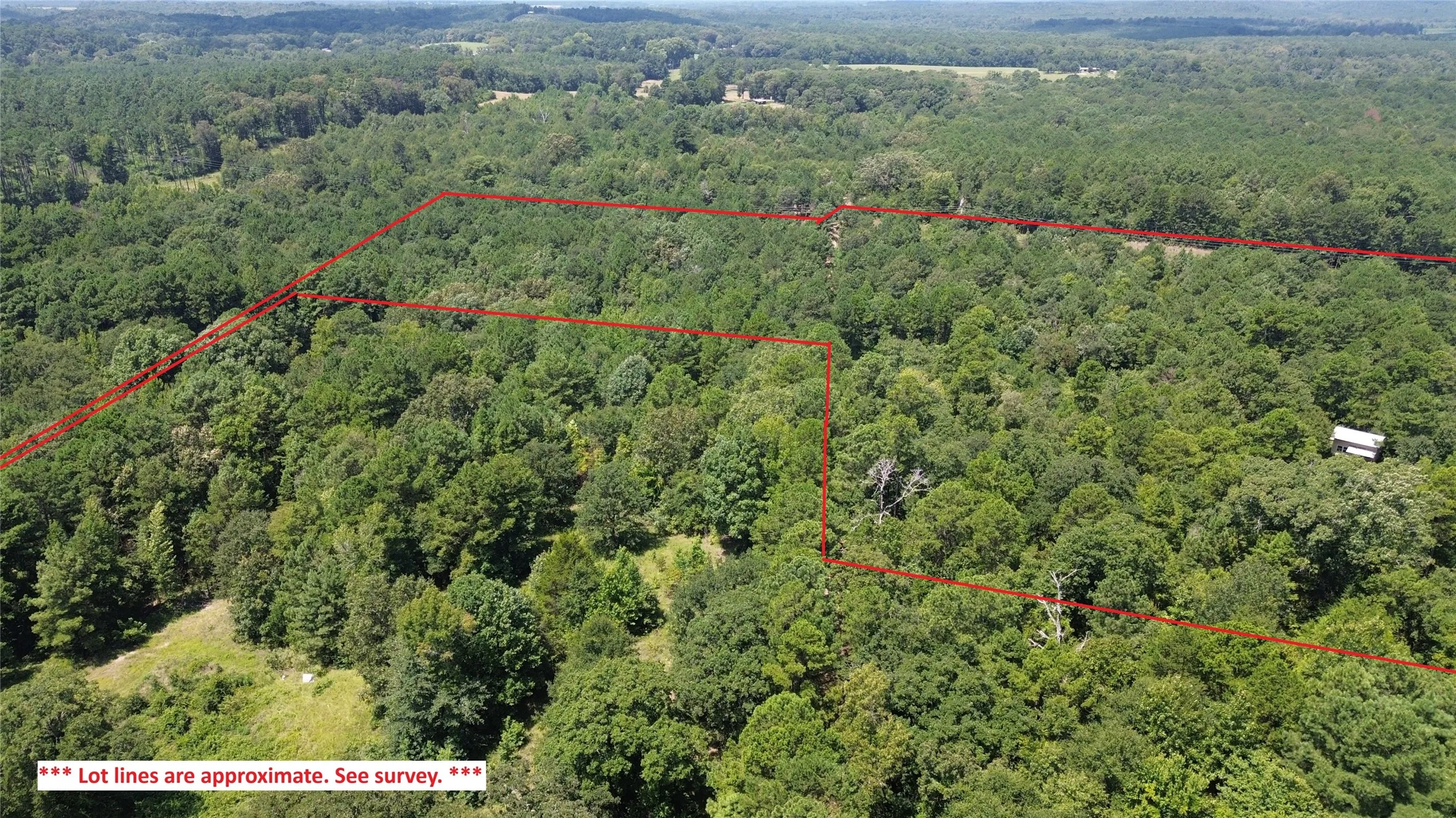 Unimproved Land For Sale in Cass County , TBD County Road 2920, Hughes Springs, Texas 75656, 0, 0, Garage spaces, 0 Sqft, built in 0, Price $249,900, mls#21142080, Real Estate Agent in Hughes Springs, Homes For Sale in Cass county, Homes For Sale in Hughes Springs, Realtor in Hughes Springs Texas, Real Estate Brokerage Independent Realty Texas, Luminita Cordes Realtor