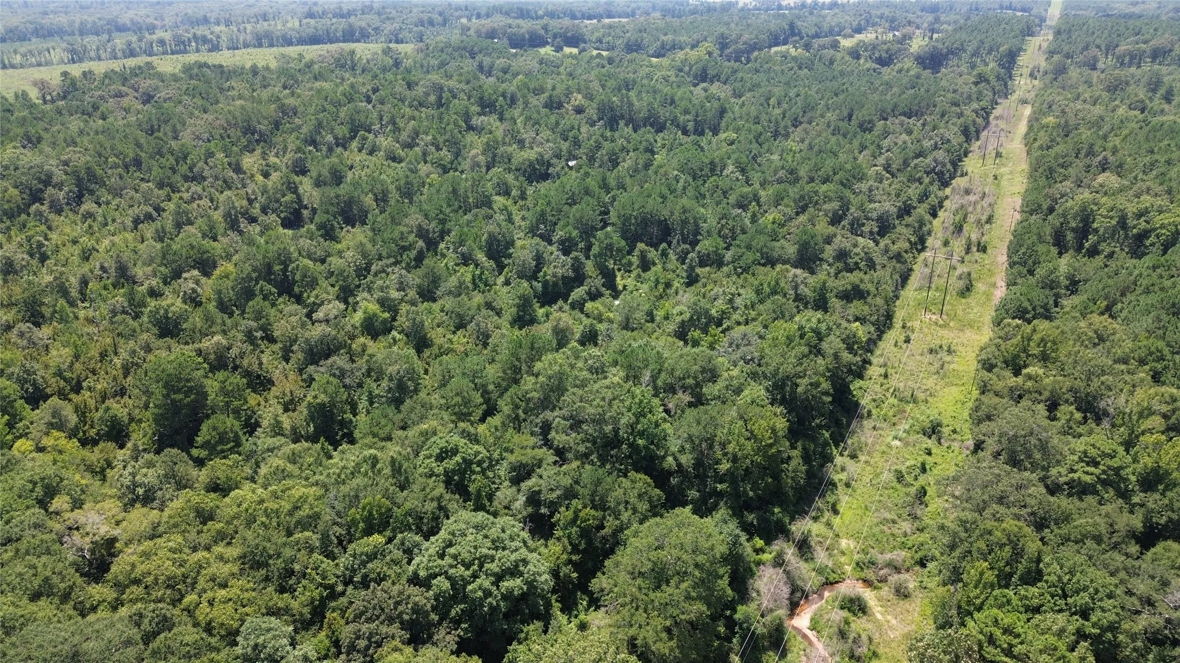 Unimproved Land For Sale in Cass County , TBD County Road 2920, Hughes Springs, Texas 75656, 0, 0, Garage spaces, 0 Sqft, built in 0, Price $249,900, mls#21142080, Real Estate Agent in Hughes Springs, Homes For Sale in Cass county, Homes For Sale in Hughes Springs, Realtor in Hughes Springs Texas, Real Estate Brokerage Independent Realty Texas, Luminita Cordes Realtor