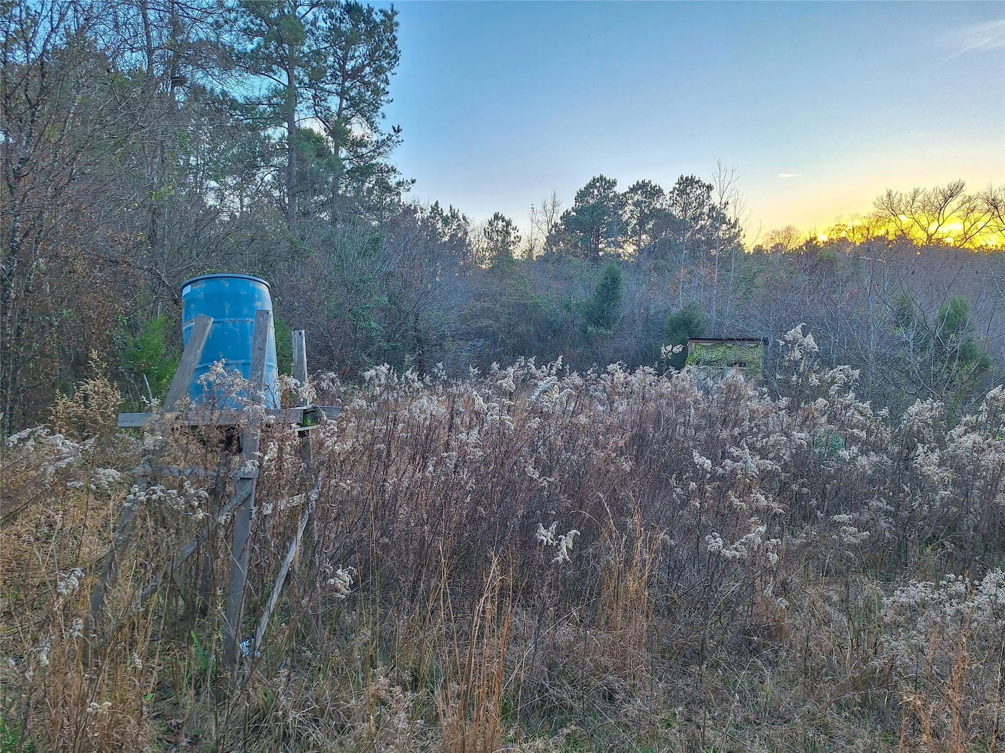 Unimproved Land For Sale in Cass County , TBD County Road 2920, Hughes Springs, Texas 75656, 0, 0, Garage spaces, 0 Sqft, built in 0, Price $249,900, mls#21142080, Real Estate Agent in Hughes Springs, Homes For Sale in Cass county, Homes For Sale in Hughes Springs, Realtor in Hughes Springs Texas, Real Estate Brokerage Independent Realty Texas, Luminita Cordes Realtor