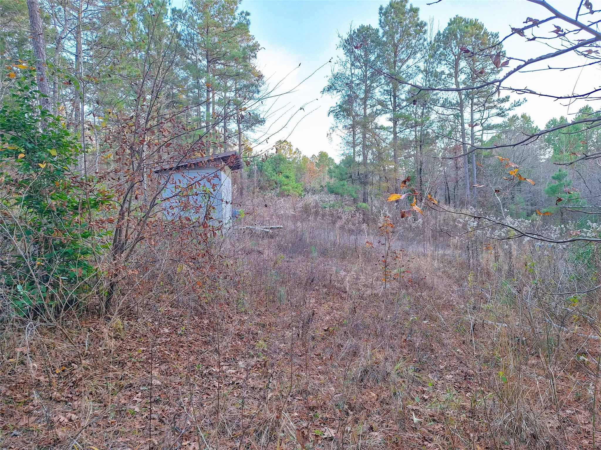 Unimproved Land For Sale in Cass County , TBD County Road 2920, Hughes Springs, Texas 75656, 0, 0, Garage spaces, 0 Sqft, built in 0, Price $249,900, mls#21142080, Real Estate Agent in Hughes Springs, Homes For Sale in Cass county, Homes For Sale in Hughes Springs, Realtor in Hughes Springs Texas, Real Estate Brokerage Independent Realty Texas, Luminita Cordes Realtor