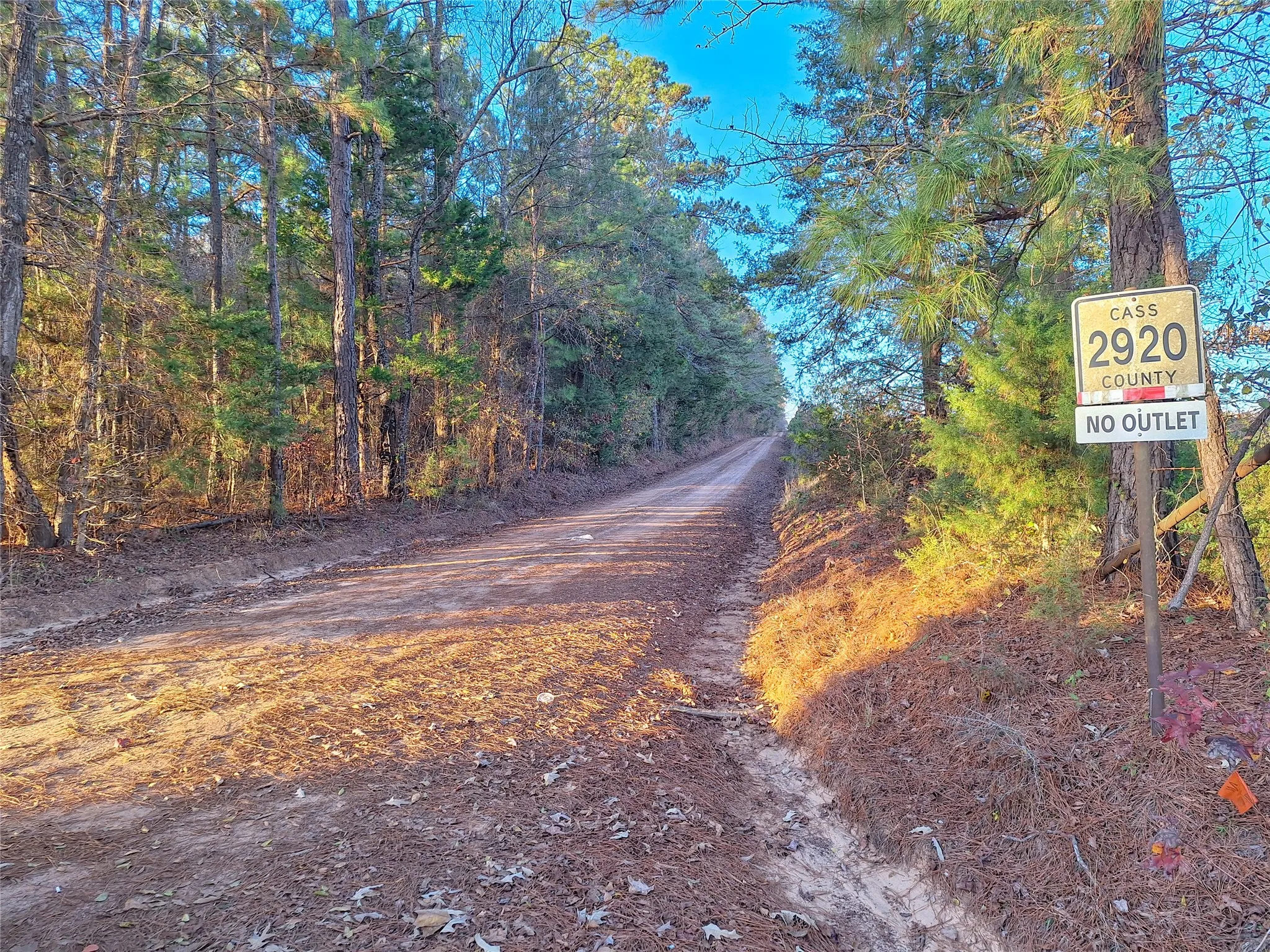 Unimproved Land For Sale in Cass County , TBD County Road 2920, Hughes Springs, Texas 75656, 0, 0, Garage spaces, 0 Sqft, built in 0, Price $249,900, mls#21142080, Real Estate Agent in Hughes Springs, Homes For Sale in Cass county, Homes For Sale in Hughes Springs, Realtor in Hughes Springs Texas, Real Estate Brokerage Independent Realty Texas, Luminita Cordes Realtor