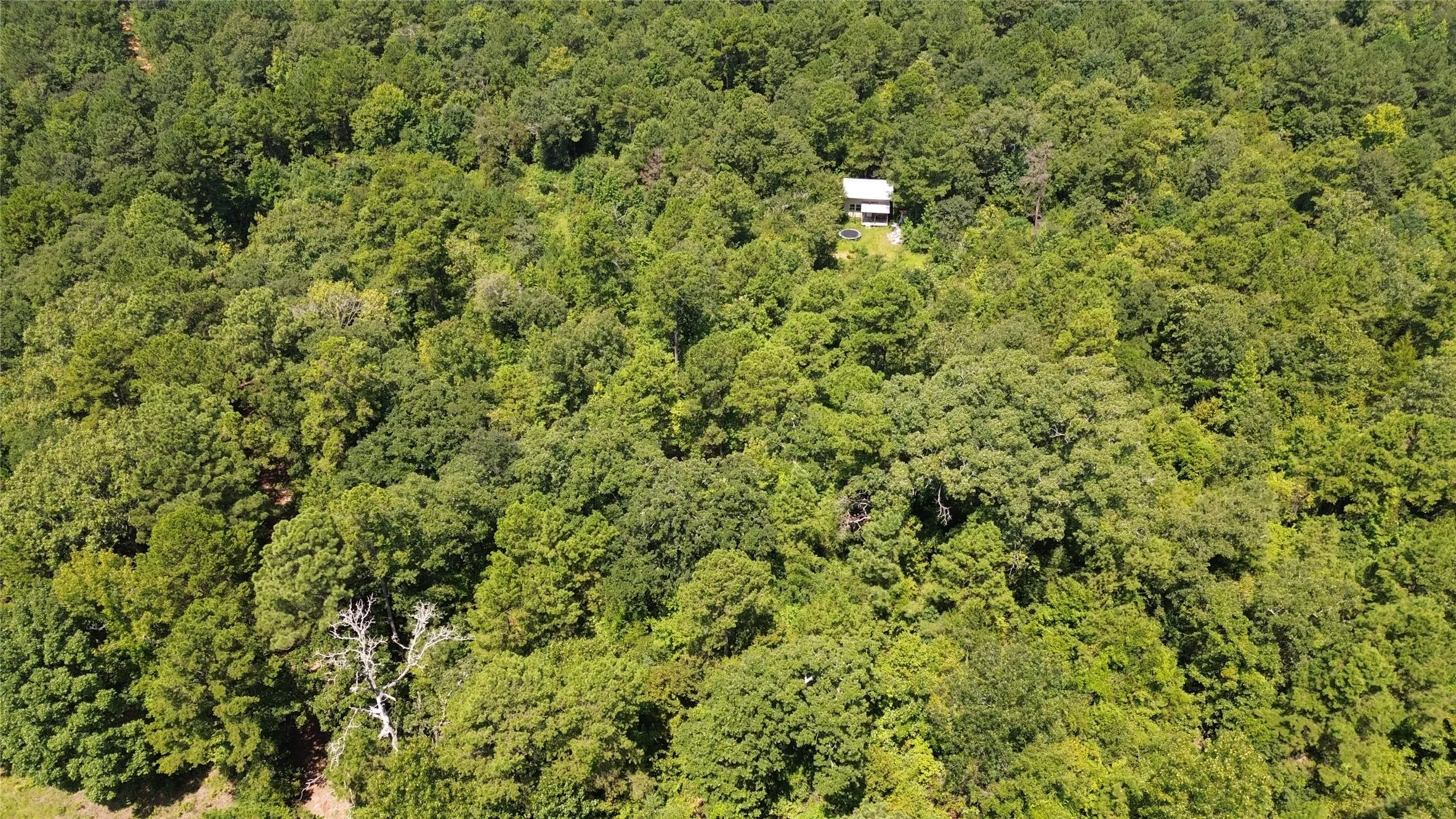 Unimproved Land For Sale in Cass County , TBD County Road 2920, Hughes Springs, Texas 75656, 0, 0, Garage spaces, 0 Sqft, built in 0, Price $249,900, mls#21142080, Real Estate Agent in Hughes Springs, Homes For Sale in Cass county, Homes For Sale in Hughes Springs, Realtor in Hughes Springs Texas, Real Estate Brokerage Independent Realty Texas, Luminita Cordes Realtor