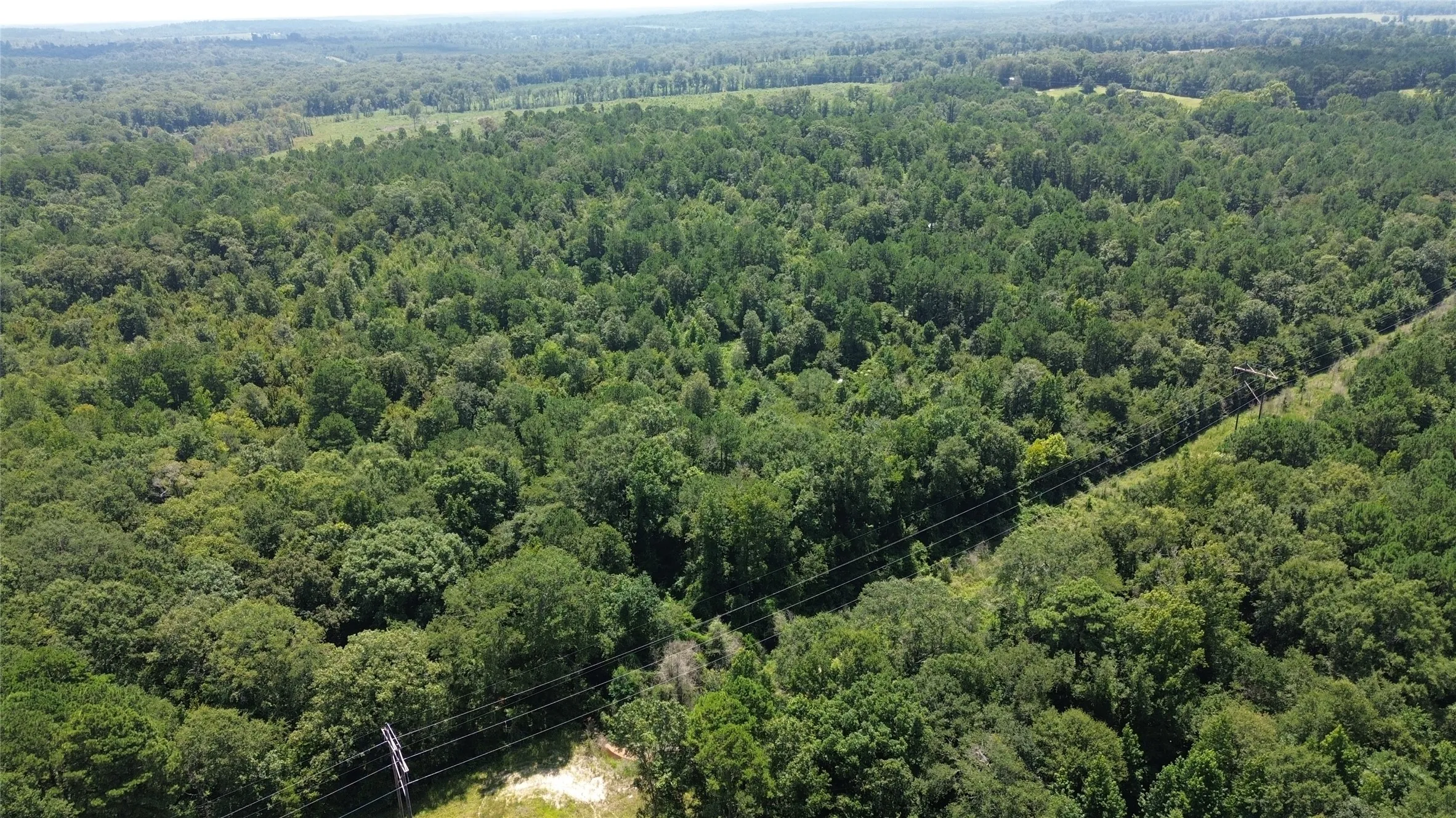 Unimproved Land For Sale in Cass County , TBD County Road 2920, Hughes Springs, Texas 75656, 0, 0, Garage spaces, 0 Sqft, built in 0, Price $249,900, mls#21142080, Real Estate Agent in Hughes Springs, Homes For Sale in Cass county, Homes For Sale in Hughes Springs, Realtor in Hughes Springs Texas, Real Estate Brokerage Independent Realty Texas, Luminita Cordes Realtor