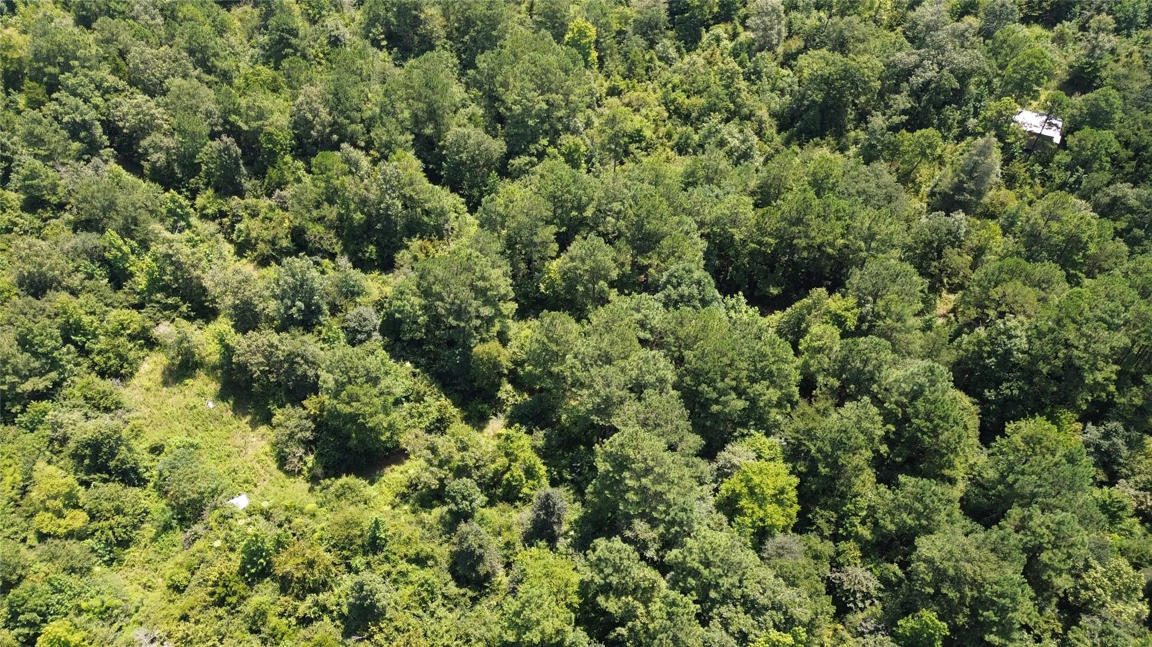Unimproved Land For Sale in Cass County , TBD County Road 2920, Hughes Springs, Texas 75656, 0, 0, Garage spaces, 0 Sqft, built in 0, Price $249,900, mls#21142080, Real Estate Agent in Hughes Springs, Homes For Sale in Cass county, Homes For Sale in Hughes Springs, Realtor in Hughes Springs Texas, Real Estate Brokerage Independent Realty Texas, Luminita Cordes Realtor