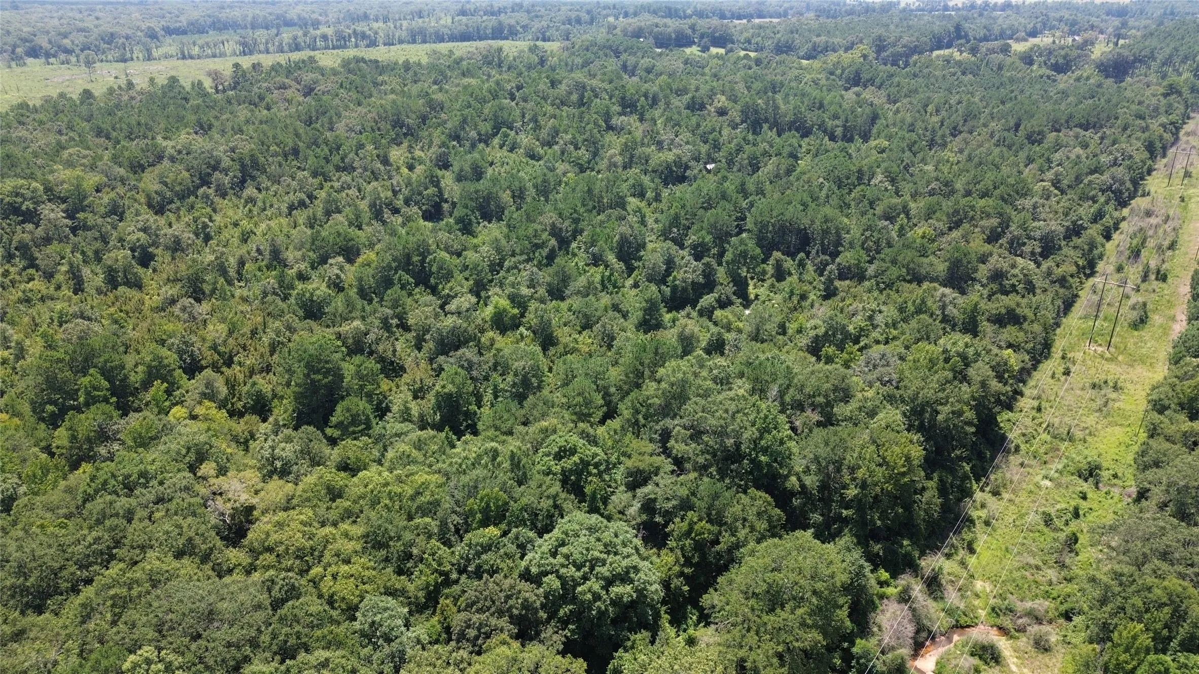 Unimproved Land For Sale in Cass County , TBD County Road 2920, Hughes Springs, Texas 75656, 0, 0, Garage spaces, 0 Sqft, built in 0, Price $249,900, mls#21142080, Real Estate Agent in Hughes Springs, Homes For Sale in Cass county, Homes For Sale in Hughes Springs, Realtor in Hughes Springs Texas, Real Estate Brokerage Independent Realty Texas, Luminita Cordes Realtor