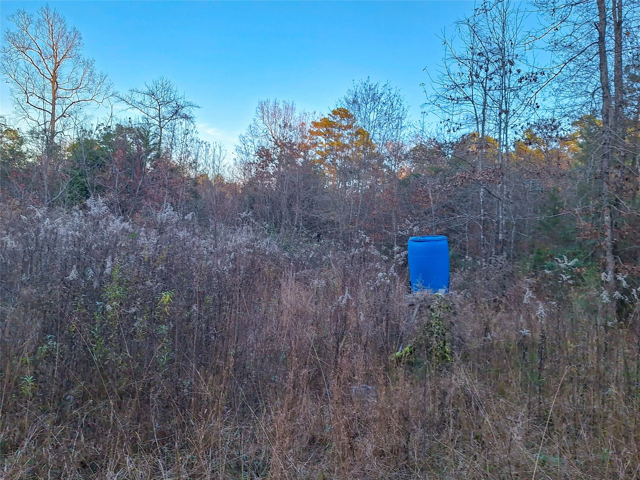 Unimproved Land For Sale in Cass County , TBD County Road 2920, Hughes Springs, Texas 75656, 0, 0, Garage spaces, 0 Sqft, built in 0, Price $249,900, mls#21142080, Real Estate Agent in Hughes Springs, Homes For Sale in Cass county, Homes For Sale in Hughes Springs, Realtor in Hughes Springs Texas, Real Estate Brokerage Independent Realty Texas, Luminita Cordes Realtor