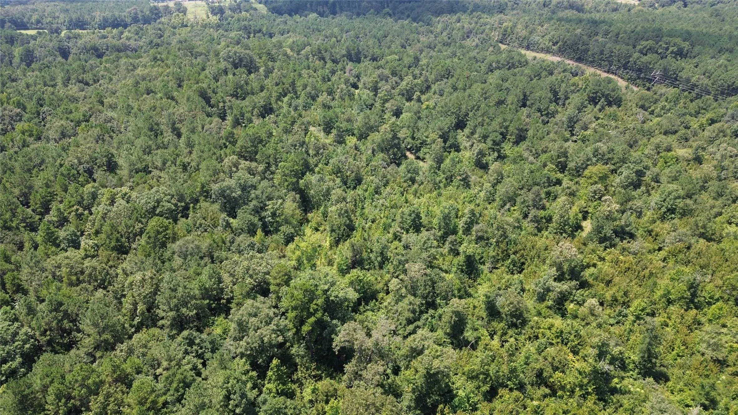 Unimproved Land For Sale in Cass County , TBD County Road 2920, Hughes Springs, Texas 75656, 0, 0, Garage spaces, 0 Sqft, built in 0, Price $249,900, mls#21142080, Real Estate Agent in Hughes Springs, Homes For Sale in Cass county, Homes For Sale in Hughes Springs, Realtor in Hughes Springs Texas, Real Estate Brokerage Independent Realty Texas, Luminita Cordes Realtor