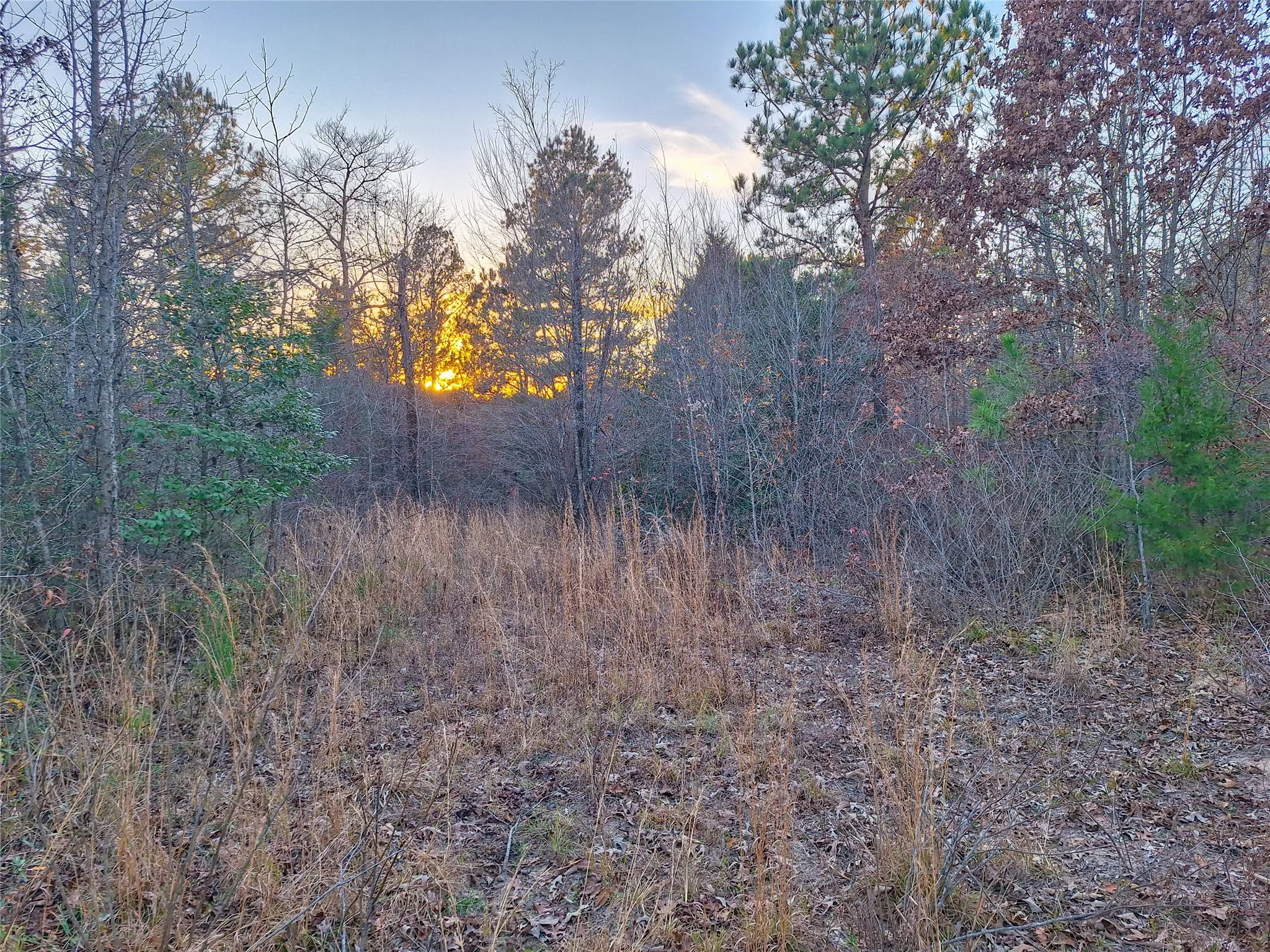 Unimproved Land For Sale in Cass County , TBD County Road 2920, Hughes Springs, Texas 75656, 0, 0, Garage spaces, 0 Sqft, built in 0, Price $249,900, mls#21142080, Real Estate Agent in Hughes Springs, Homes For Sale in Cass county, Homes For Sale in Hughes Springs, Realtor in Hughes Springs Texas, Real Estate Brokerage Independent Realty Texas, Luminita Cordes Realtor