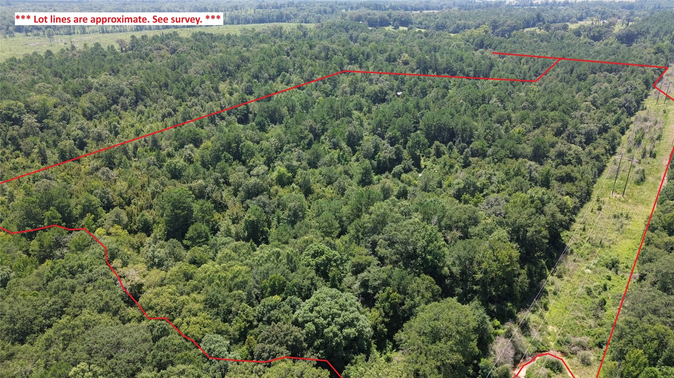 Unimproved Land For Sale in Cass County , TBD County Road 2920, Hughes Springs, Texas 75656, 0, 0, Garage spaces, 0 Sqft, built in 0, Price $249,900, mls#21142080, Real Estate Agent in Hughes Springs, Homes For Sale in Cass county, Homes For Sale in Hughes Springs, Realtor in Hughes Springs Texas, Real Estate Brokerage Independent Realty Texas, Luminita Cordes Realtor