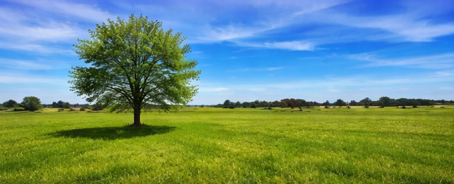 Unimproved Land For Sale in Hood County , 2619 Freedom Court, Tolar, Texas 76476, 0, 0, Garage spaces, 0 Sqft, built in 0, Price $190,000, mls#21144217, Real Estate Agent in Tolar, Homes For Sale in Hood county, Homes For Sale in Tolar, Realtor in Tolar Texas, Real Estate Brokerage Independent Realty Texas, Luminita Cordes Realtor