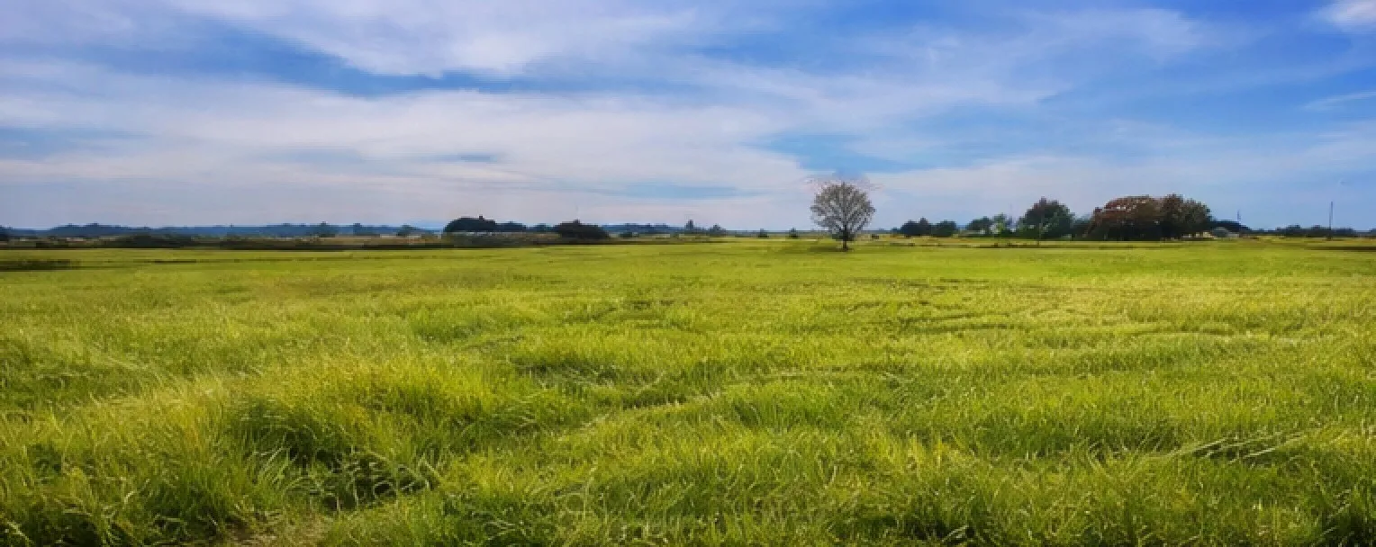 Unimproved Land For Sale in Hood County , 2619 Freedom Court, Tolar, Texas 76476, 0, 0, Garage spaces, 0 Sqft, built in 0, Price $190,000, mls#21144217, Real Estate Agent in Tolar, Homes For Sale in Hood county, Homes For Sale in Tolar, Realtor in Tolar Texas, Real Estate Brokerage Independent Realty Texas, Luminita Cordes Realtor