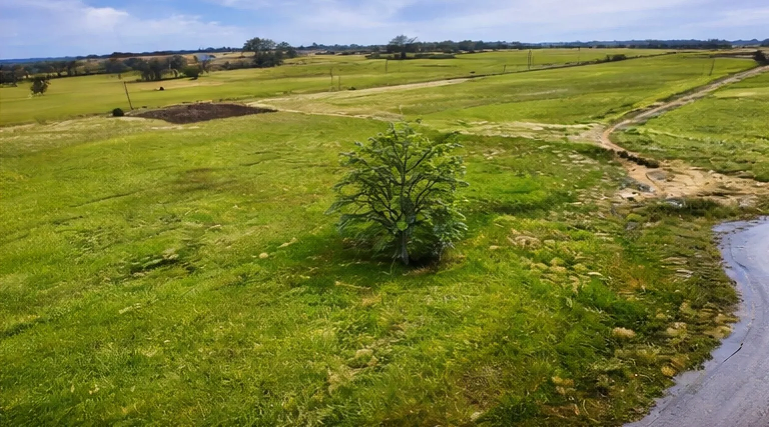 Almost 6.5 Acres!