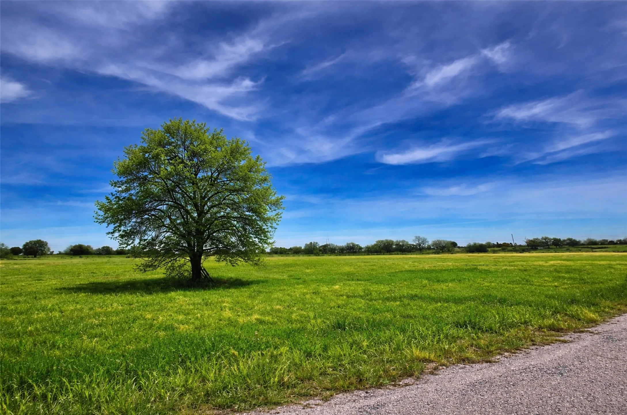 Unimproved Land For Sale in Hood County , 2619 Freedom Court, Tolar, Texas 76476, 0, 0, Garage spaces, 0 Sqft, built in 0, Price $190,000, mls#21144217, Real Estate Agent in Tolar, Homes For Sale in Hood county, Homes For Sale in Tolar, Realtor in Tolar Texas, Real Estate Brokerage Independent Realty Texas, Luminita Cordes Realtor