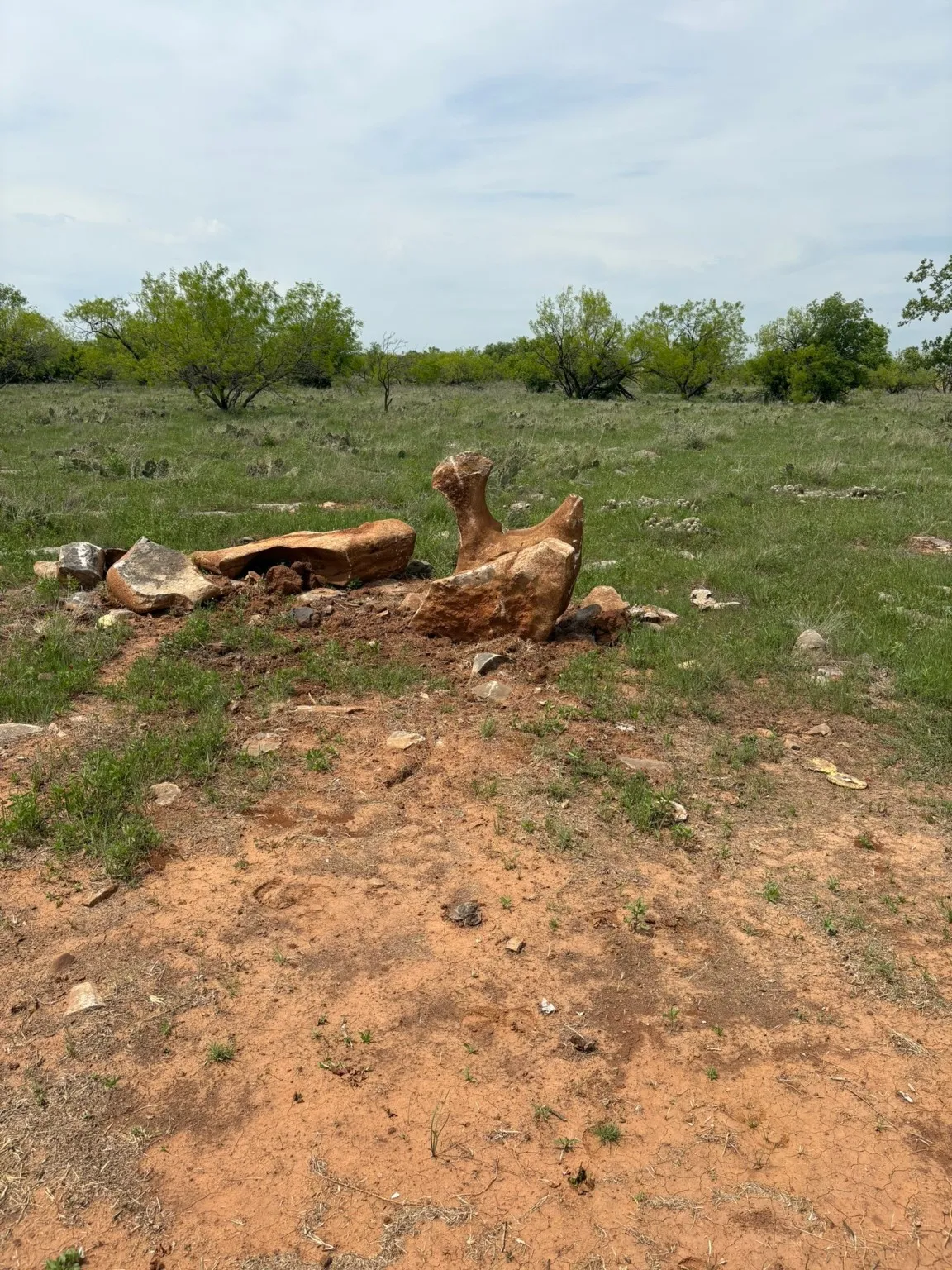 Ranch For Sale in Jack County , TBD Causeway Road, Jacksboro, Texas 76458, 0, 0, Garage spaces, 0 Sqft, built in 0, Price $990,219, mls#21144241, Real Estate Agent in Jacksboro, Homes For Sale in Jack county, Homes For Sale in Jacksboro, Realtor in Jacksboro Texas, Real Estate Brokerage Independent Realty Texas, Luminita Cordes Realtor