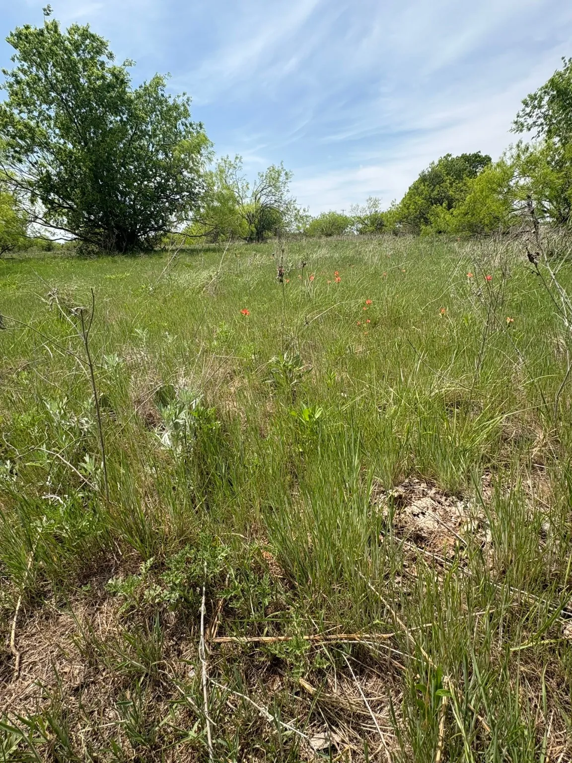 Ranch For Sale in Jack County , TBD Causeway Road, Jacksboro, Texas 76458, 0, 0, Garage spaces, 0 Sqft, built in 0, Price $990,219, mls#21144241, Real Estate Agent in Jacksboro, Homes For Sale in Jack county, Homes For Sale in Jacksboro, Realtor in Jacksboro Texas, Real Estate Brokerage Independent Realty Texas, Luminita Cordes Realtor