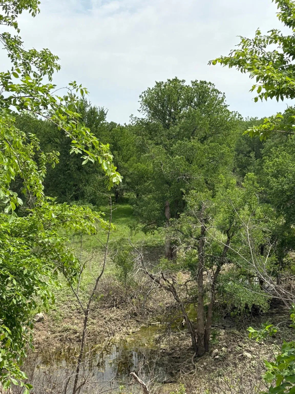 Ranch For Sale in Jack County , TBD Causeway Road, Jacksboro, Texas 76458, 0, 0, Garage spaces, 0 Sqft, built in 0, Price $990,219, mls#21144241, Real Estate Agent in Jacksboro, Homes For Sale in Jack county, Homes For Sale in Jacksboro, Realtor in Jacksboro Texas, Real Estate Brokerage Independent Realty Texas, Luminita Cordes Realtor