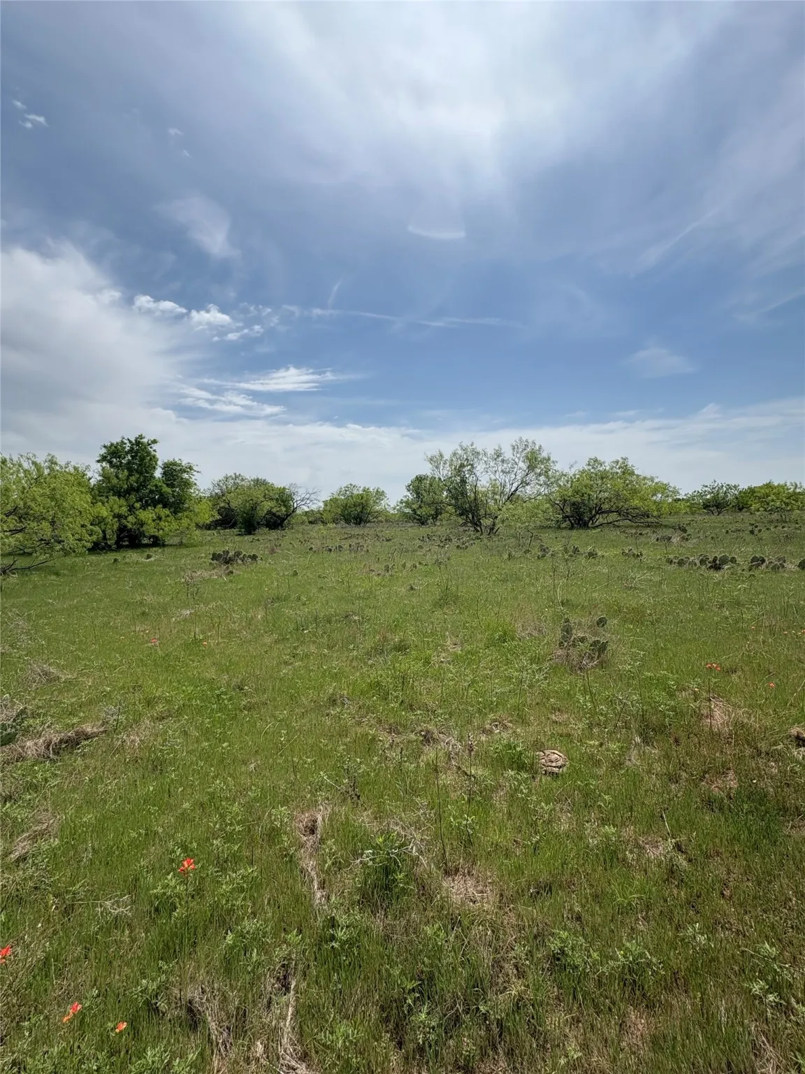 Ranch For Sale in Jack County , TBD Causeway Road, Jacksboro, Texas 76458, 0, 0, Garage spaces, 0 Sqft, built in 0, Price $990,219, mls#21144241, Real Estate Agent in Jacksboro, Homes For Sale in Jack county, Homes For Sale in Jacksboro, Realtor in Jacksboro Texas, Real Estate Brokerage Independent Realty Texas, Luminita Cordes Realtor
