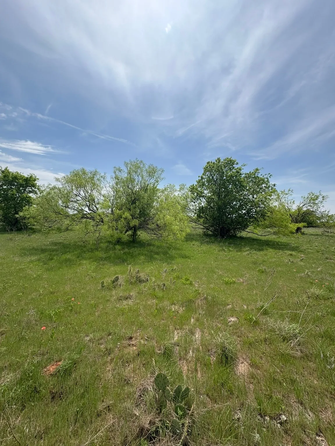 Ranch For Sale in Jack County , TBD Causeway Road, Jacksboro, Texas 76458, 0, 0, Garage spaces, 0 Sqft, built in 0, Price $990,219, mls#21144241, Real Estate Agent in Jacksboro, Homes For Sale in Jack county, Homes For Sale in Jacksboro, Realtor in Jacksboro Texas, Real Estate Brokerage Independent Realty Texas, Luminita Cordes Realtor