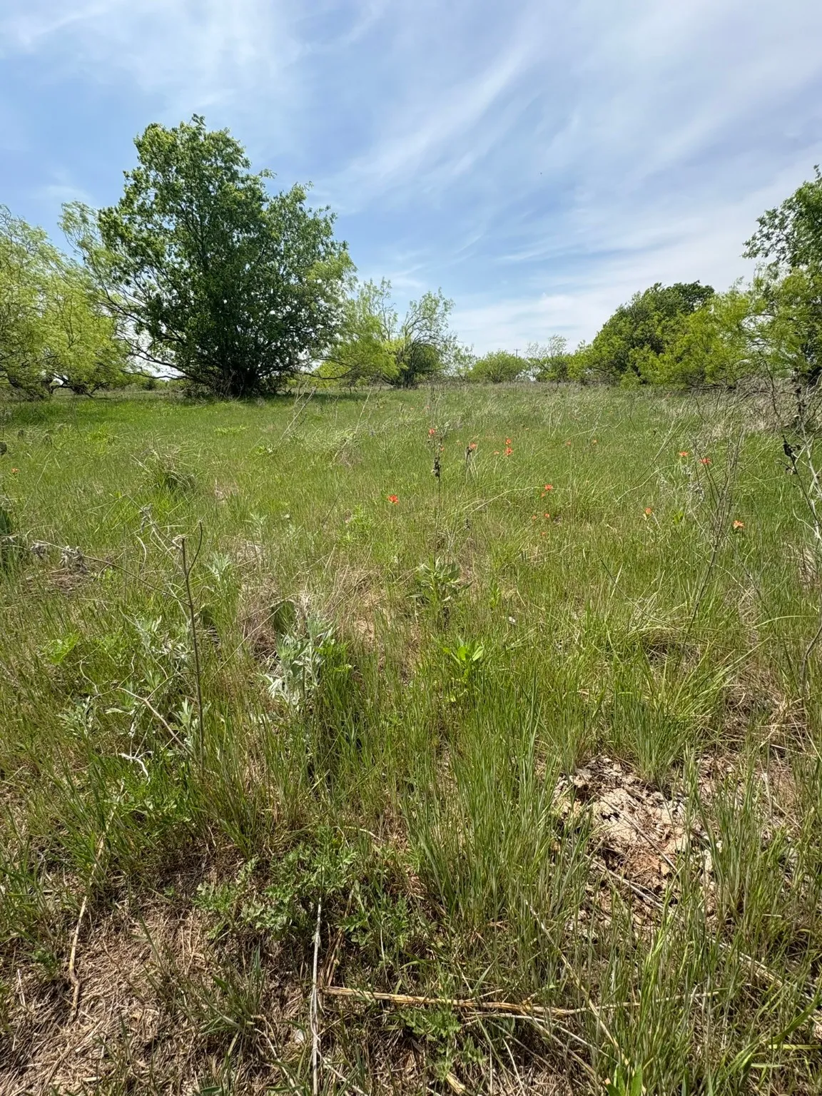 Ranch For Sale in Jack County , TBD Causeway Road, Jacksboro, Texas 76458, 0, 0, Garage spaces, 0 Sqft, built in 0, Price $990,219, mls#21144241, Real Estate Agent in Jacksboro, Homes For Sale in Jack county, Homes For Sale in Jacksboro, Realtor in Jacksboro Texas, Real Estate Brokerage Independent Realty Texas, Luminita Cordes Realtor