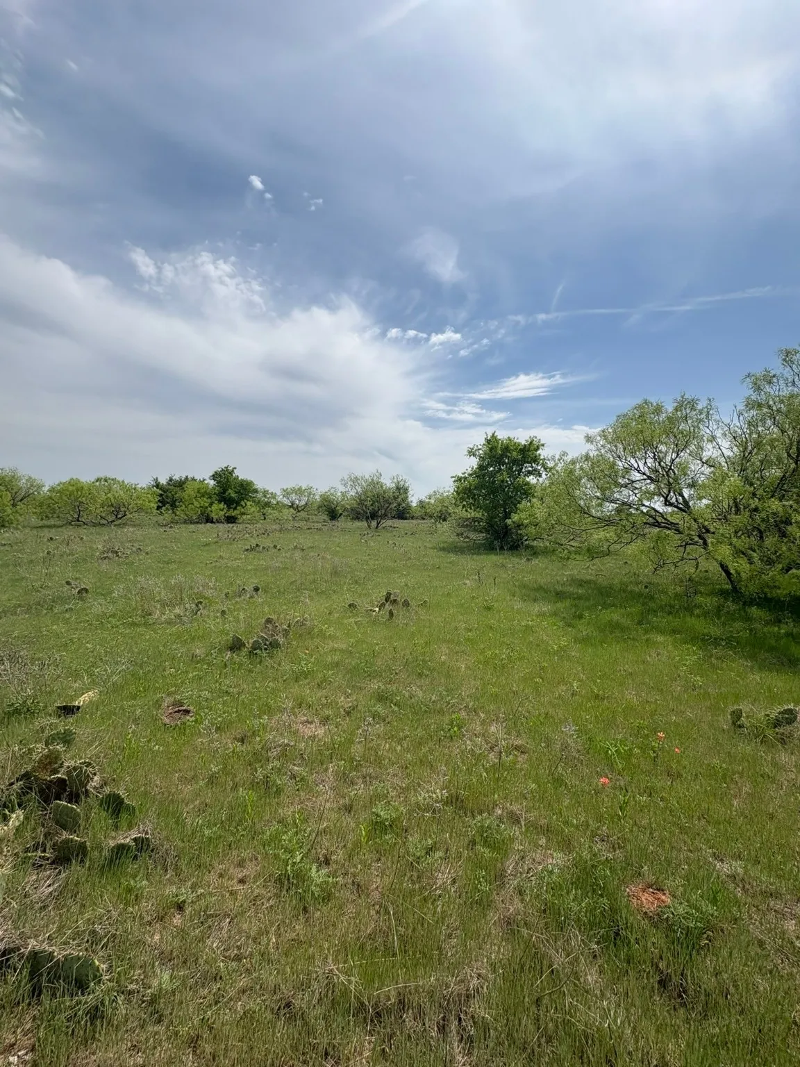 Ranch For Sale in Jack County , TBD Causeway Road, Jacksboro, Texas 76458, 0, 0, Garage spaces, 0 Sqft, built in 0, Price $990,219, mls#21144241, Real Estate Agent in Jacksboro, Homes For Sale in Jack county, Homes For Sale in Jacksboro, Realtor in Jacksboro Texas, Real Estate Brokerage Independent Realty Texas, Luminita Cordes Realtor