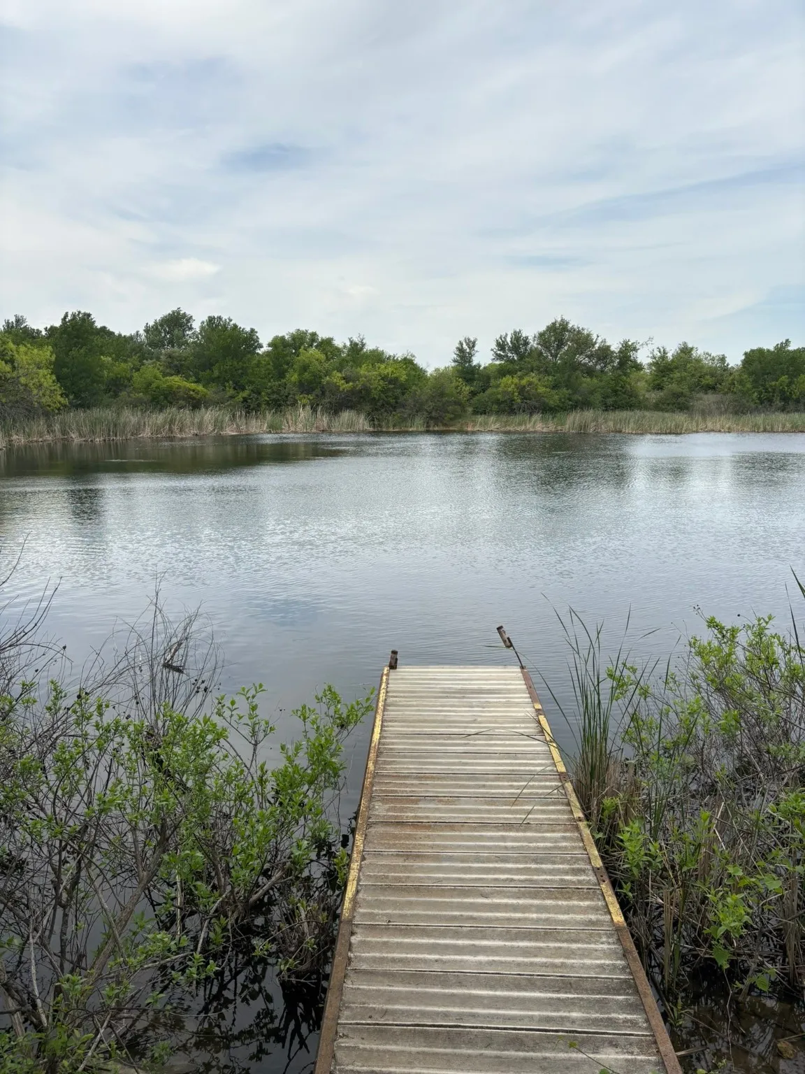 Ranch For Sale in Jack County , TBD Causeway Road, Jacksboro, Texas 76458, 0, 0, Garage spaces, 0 Sqft, built in 0, Price $990,219, mls#21144241, Real Estate Agent in Jacksboro, Homes For Sale in Jack county, Homes For Sale in Jacksboro, Realtor in Jacksboro Texas, Real Estate Brokerage Independent Realty Texas, Luminita Cordes Realtor