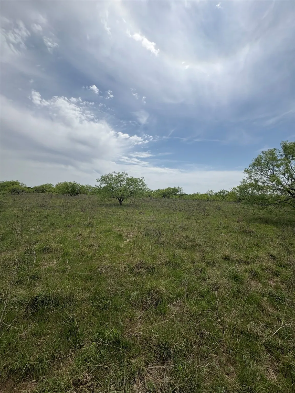 Ranch For Sale in Jack County , TBD Causeway Road, Jacksboro, Texas 76458, 0, 0, Garage spaces, 0 Sqft, built in 0, Price $990,219, mls#21144241, Real Estate Agent in Jacksboro, Homes For Sale in Jack county, Homes For Sale in Jacksboro, Realtor in Jacksboro Texas, Real Estate Brokerage Independent Realty Texas, Luminita Cordes Realtor