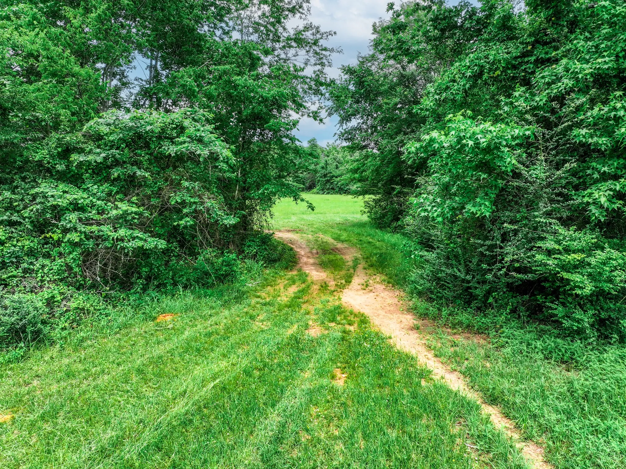 Ranch For Sale in Anderson County , 3732 US Highway 84, Palestine, Texas 75801, 0, 0, Garage spaces, 0 Sqft, built in 0, Price $1,776,700, mls#21144306, Real Estate Agent in Palestine, Homes For Sale in Anderson county, Homes For Sale in Palestine, Realtor in Palestine Texas, Real Estate Brokerage Independent Realty Texas, Luminita Cordes Realtor