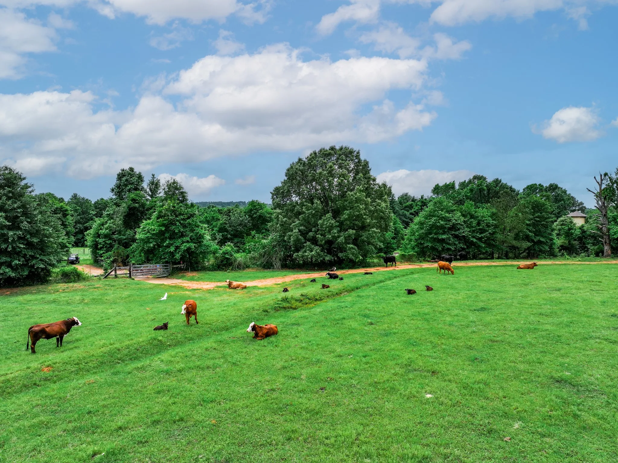Ranch For Sale in Anderson County , 3732 US Highway 84, Palestine, Texas 75801, 0, 0, Garage spaces, 0 Sqft, built in 0, Price $1,776,700, mls#21144306, Real Estate Agent in Palestine, Homes For Sale in Anderson county, Homes For Sale in Palestine, Realtor in Palestine Texas, Real Estate Brokerage Independent Realty Texas, Luminita Cordes Realtor