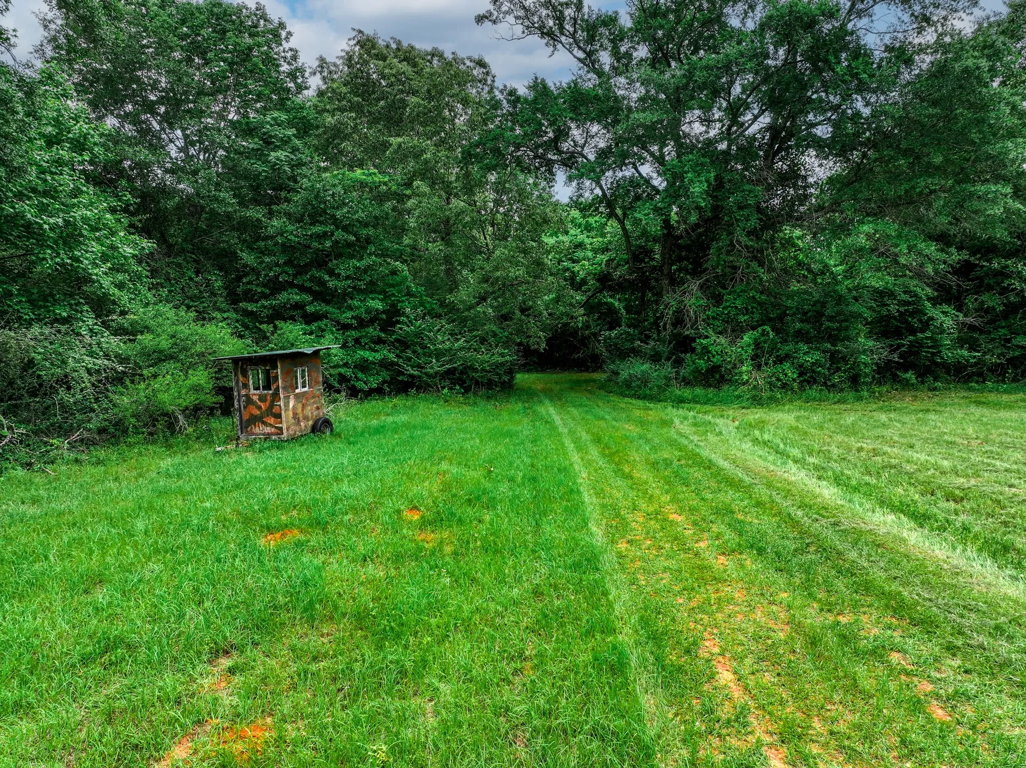 Ranch For Sale in Anderson County , 3732 US Highway 84, Palestine, Texas 75801, 0, 0, Garage spaces, 0 Sqft, built in 0, Price $1,776,700, mls#21144306, Real Estate Agent in Palestine, Homes For Sale in Anderson county, Homes For Sale in Palestine, Realtor in Palestine Texas, Real Estate Brokerage Independent Realty Texas, Luminita Cordes Realtor