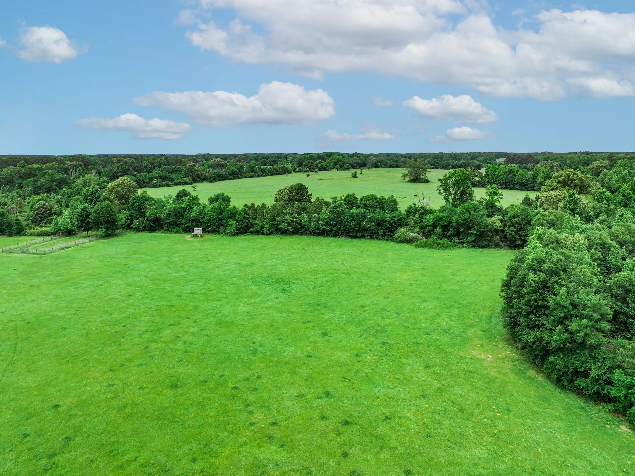 Ranch For Sale in Anderson County , 3732 US Highway 84, Palestine, Texas 75801, 0, 0, Garage spaces, 0 Sqft, built in 0, Price $1,776,700, mls#21144306, Real Estate Agent in Palestine, Homes For Sale in Anderson county, Homes For Sale in Palestine, Realtor in Palestine Texas, Real Estate Brokerage Independent Realty Texas, Luminita Cordes Realtor