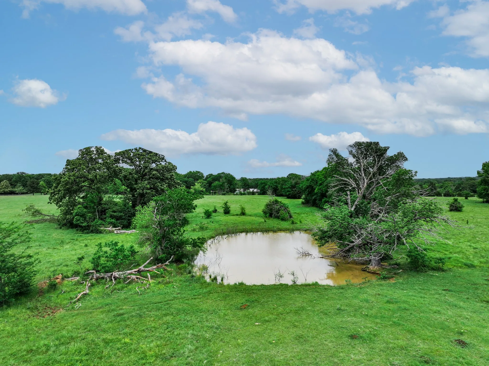 Ranch For Sale in Anderson County , 3732 US Highway 84, Palestine, Texas 75801, 0, 0, Garage spaces, 0 Sqft, built in 0, Price $1,776,700, mls#21144306, Real Estate Agent in Palestine, Homes For Sale in Anderson county, Homes For Sale in Palestine, Realtor in Palestine Texas, Real Estate Brokerage Independent Realty Texas, Luminita Cordes Realtor