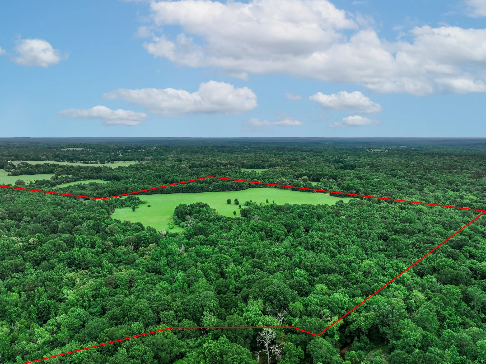 Ranch For Sale in Anderson County , 3732 US Highway 84, Palestine, Texas 75801, 0, 0, Garage spaces, 0 Sqft, built in 0, Price $1,776,700, mls#21144306, Real Estate Agent in Palestine, Homes For Sale in Anderson county, Homes For Sale in Palestine, Realtor in Palestine Texas, Real Estate Brokerage Independent Realty Texas, Luminita Cordes Realtor