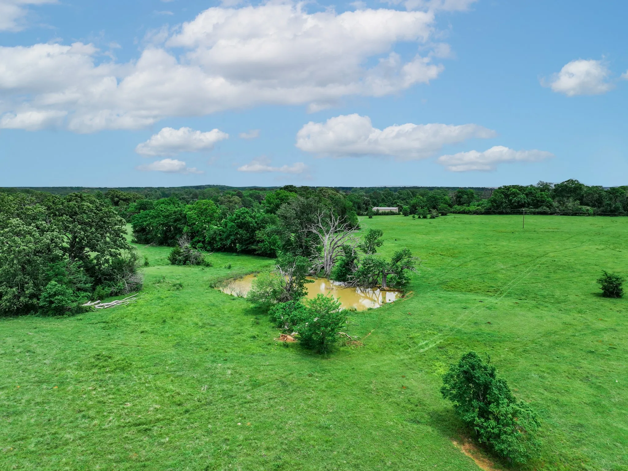 Ranch For Sale in Anderson County , 3732 US Highway 84, Palestine, Texas 75801, 0, 0, Garage spaces, 0 Sqft, built in 0, Price $1,776,700, mls#21144306, Real Estate Agent in Palestine, Homes For Sale in Anderson county, Homes For Sale in Palestine, Realtor in Palestine Texas, Real Estate Brokerage Independent Realty Texas, Luminita Cordes Realtor