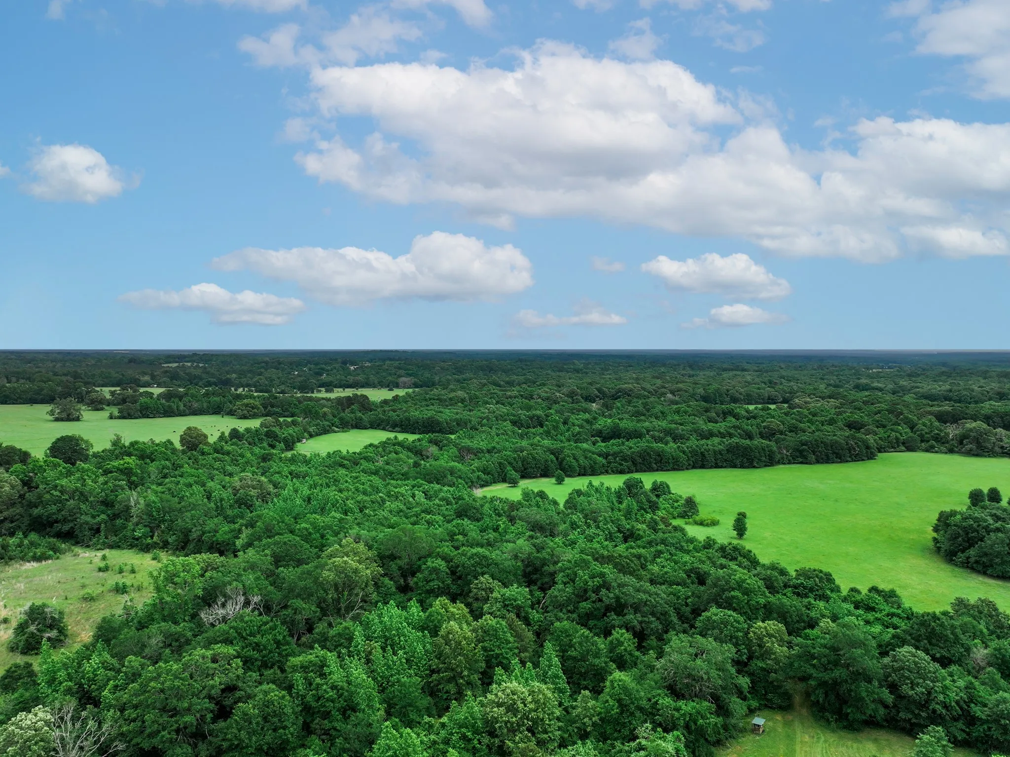 Ranch For Sale in Anderson County , 3732 US Highway 84, Palestine, Texas 75801, 0, 0, Garage spaces, 0 Sqft, built in 0, Price $1,776,700, mls#21144306, Real Estate Agent in Palestine, Homes For Sale in Anderson county, Homes For Sale in Palestine, Realtor in Palestine Texas, Real Estate Brokerage Independent Realty Texas, Luminita Cordes Realtor