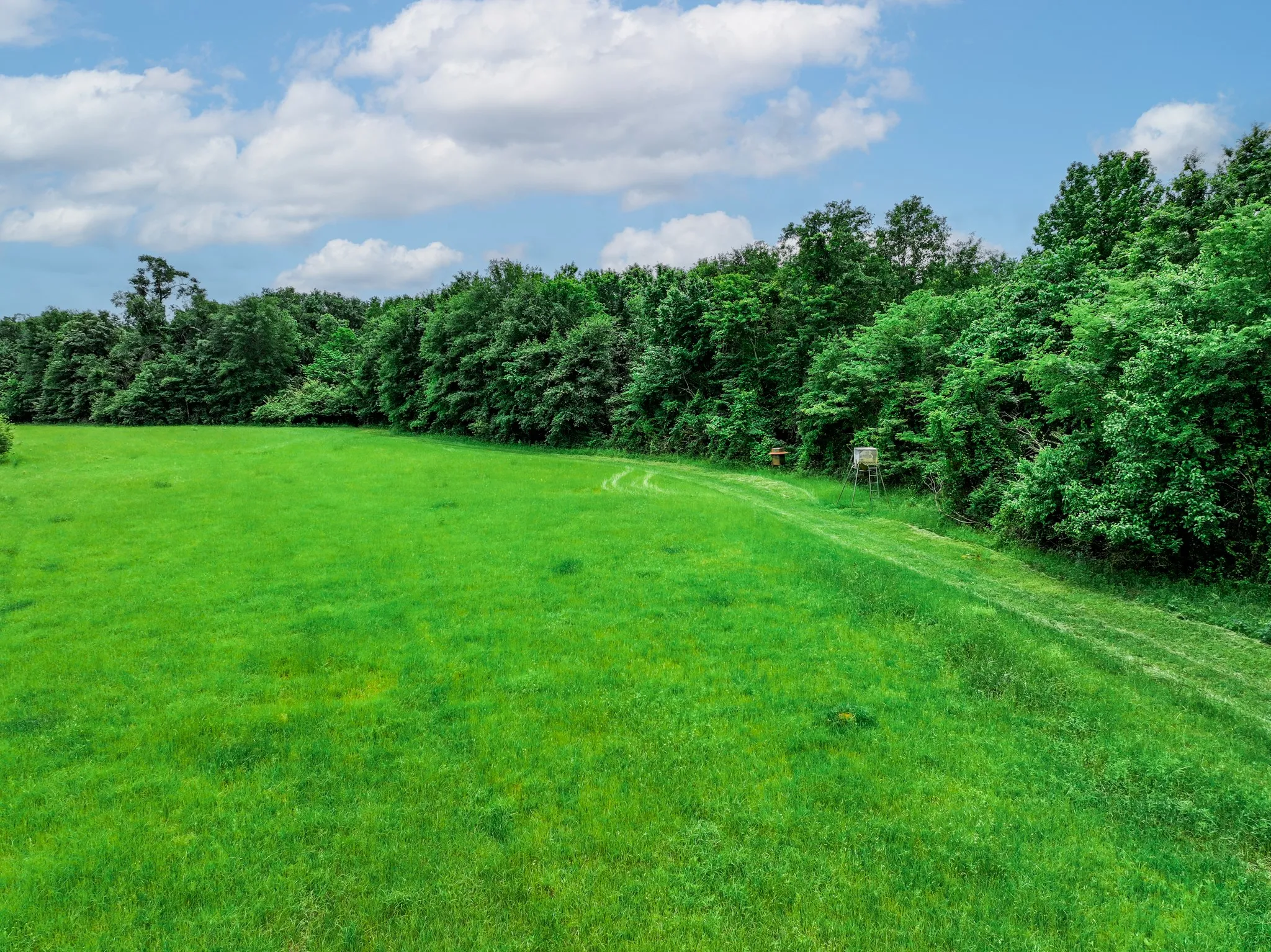 Ranch For Sale in Anderson County , 3732 US Highway 84, Palestine, Texas 75801, 0, 0, Garage spaces, 0 Sqft, built in 0, Price $1,776,700, mls#21144306, Real Estate Agent in Palestine, Homes For Sale in Anderson county, Homes For Sale in Palestine, Realtor in Palestine Texas, Real Estate Brokerage Independent Realty Texas, Luminita Cordes Realtor