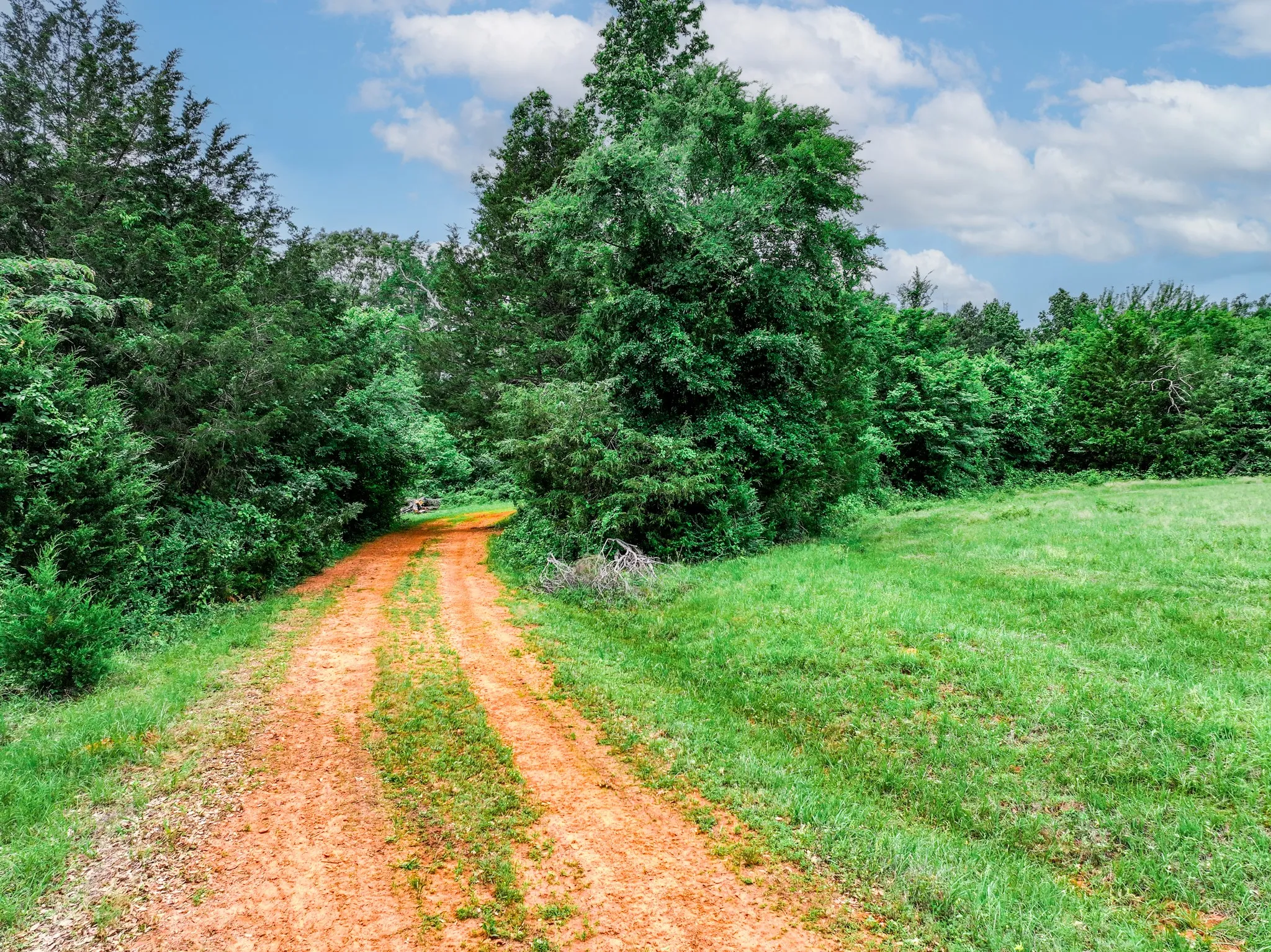 Ranch For Sale in Anderson County , 3732 US Highway 84, Palestine, Texas 75801, 0, 0, Garage spaces, 0 Sqft, built in 0, Price $1,776,700, mls#21144306, Real Estate Agent in Palestine, Homes For Sale in Anderson county, Homes For Sale in Palestine, Realtor in Palestine Texas, Real Estate Brokerage Independent Realty Texas, Luminita Cordes Realtor