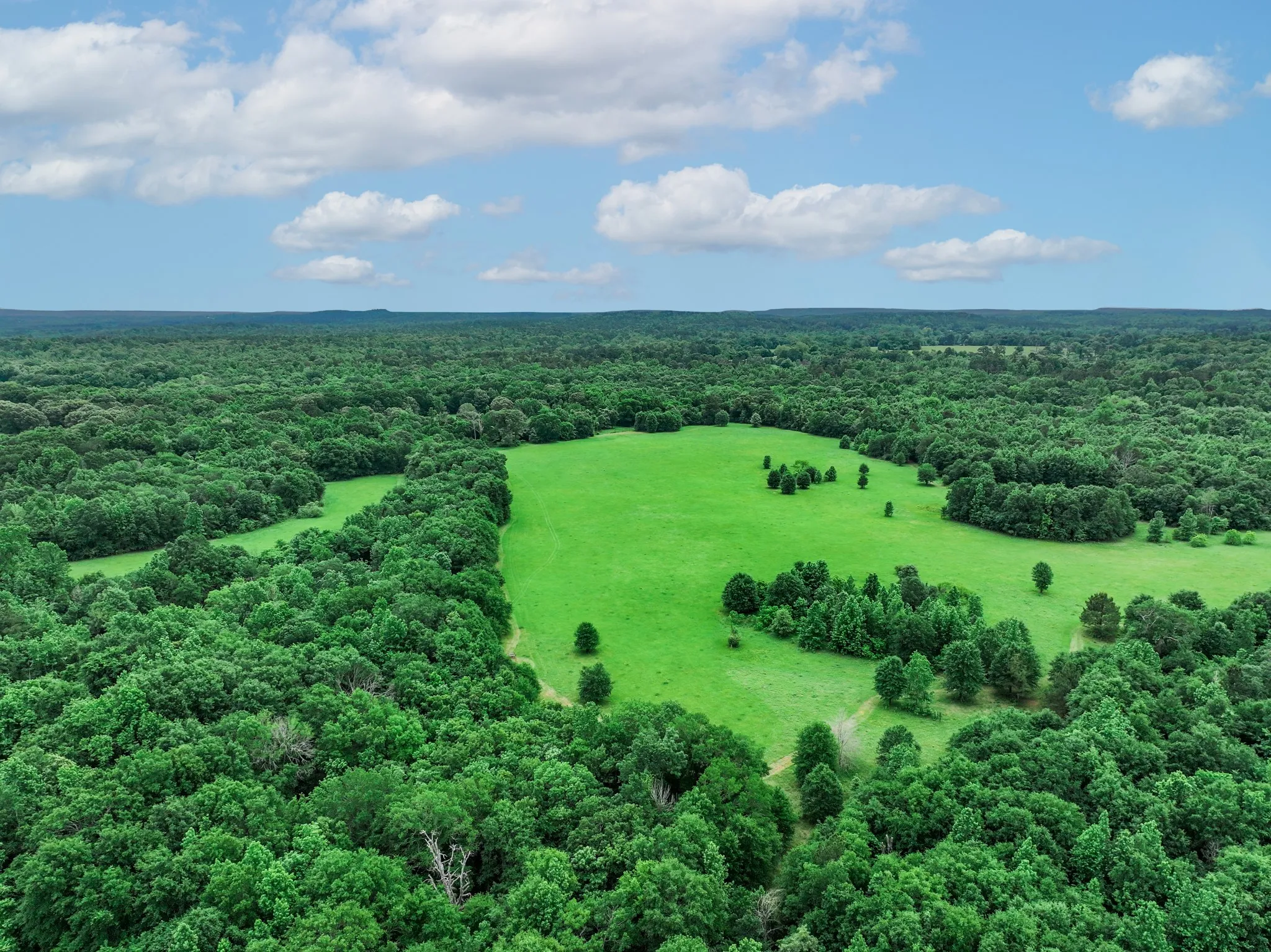 Ranch For Sale in Anderson County , 3732 US Highway 84, Palestine, Texas 75801, 0, 0, Garage spaces, 0 Sqft, built in 0, Price $1,776,700, mls#21144306, Real Estate Agent in Palestine, Homes For Sale in Anderson county, Homes For Sale in Palestine, Realtor in Palestine Texas, Real Estate Brokerage Independent Realty Texas, Luminita Cordes Realtor