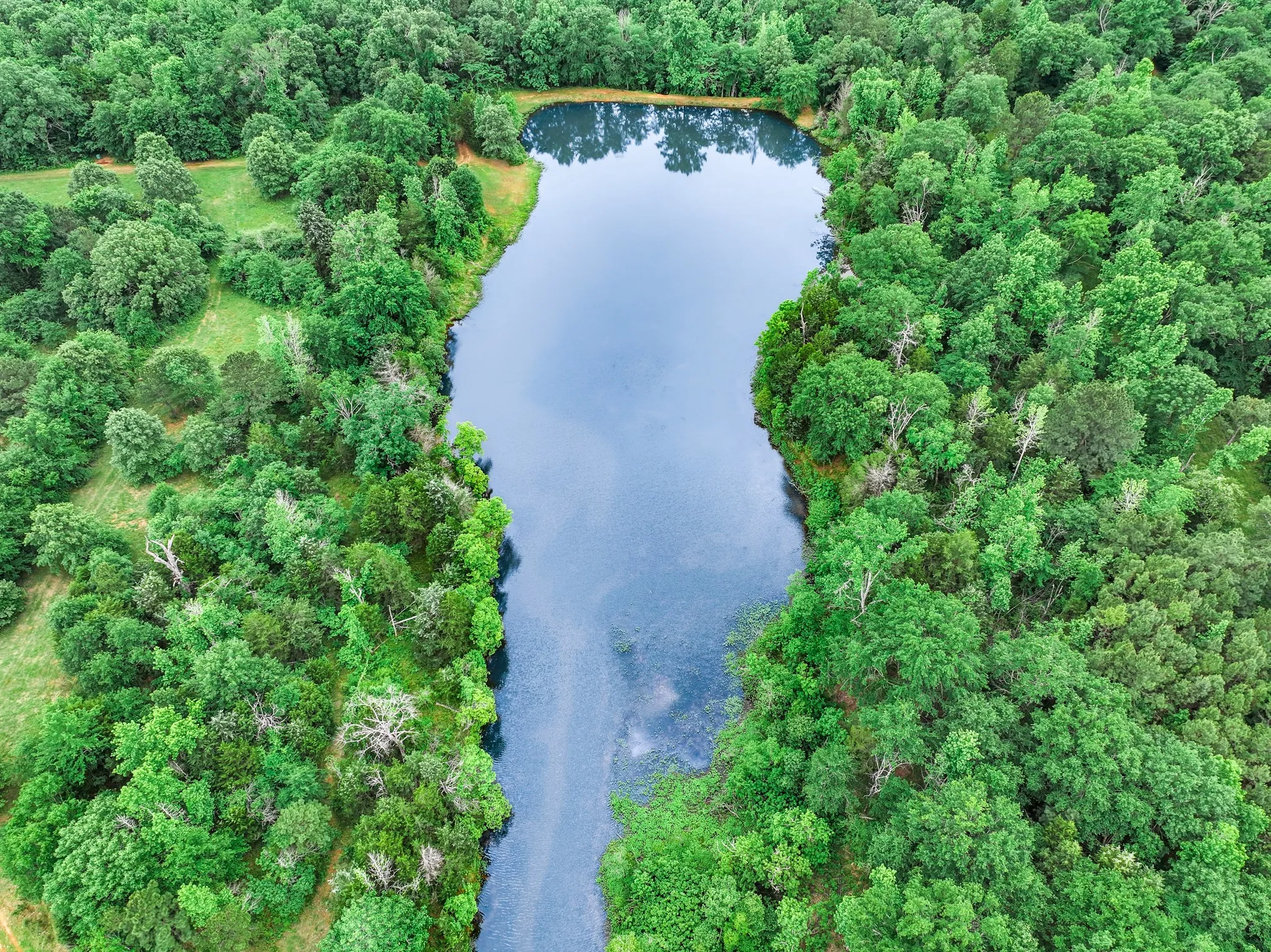Ranch For Sale in Anderson County , 3732 US Highway 84, Palestine, Texas 75801, 0, 0, Garage spaces, 0 Sqft, built in 0, Price $1,776,700, mls#21144306, Real Estate Agent in Palestine, Homes For Sale in Anderson county, Homes For Sale in Palestine, Realtor in Palestine Texas, Real Estate Brokerage Independent Realty Texas, Luminita Cordes Realtor