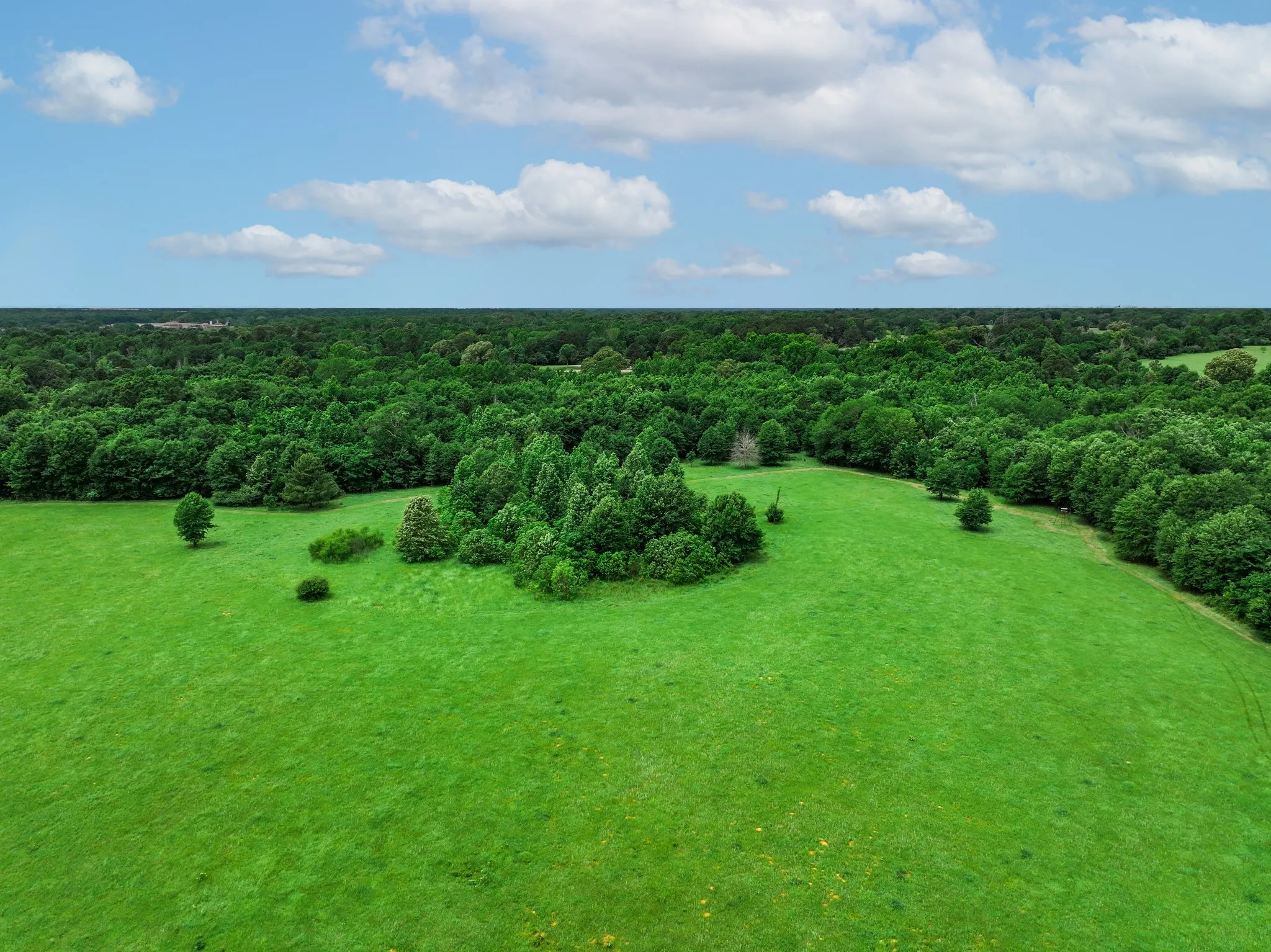 Ranch For Sale in Anderson County , 3732 US Highway 84, Palestine, Texas 75801, 0, 0, Garage spaces, 0 Sqft, built in 0, Price $1,776,700, mls#21144306, Real Estate Agent in Palestine, Homes For Sale in Anderson county, Homes For Sale in Palestine, Realtor in Palestine Texas, Real Estate Brokerage Independent Realty Texas, Luminita Cordes Realtor