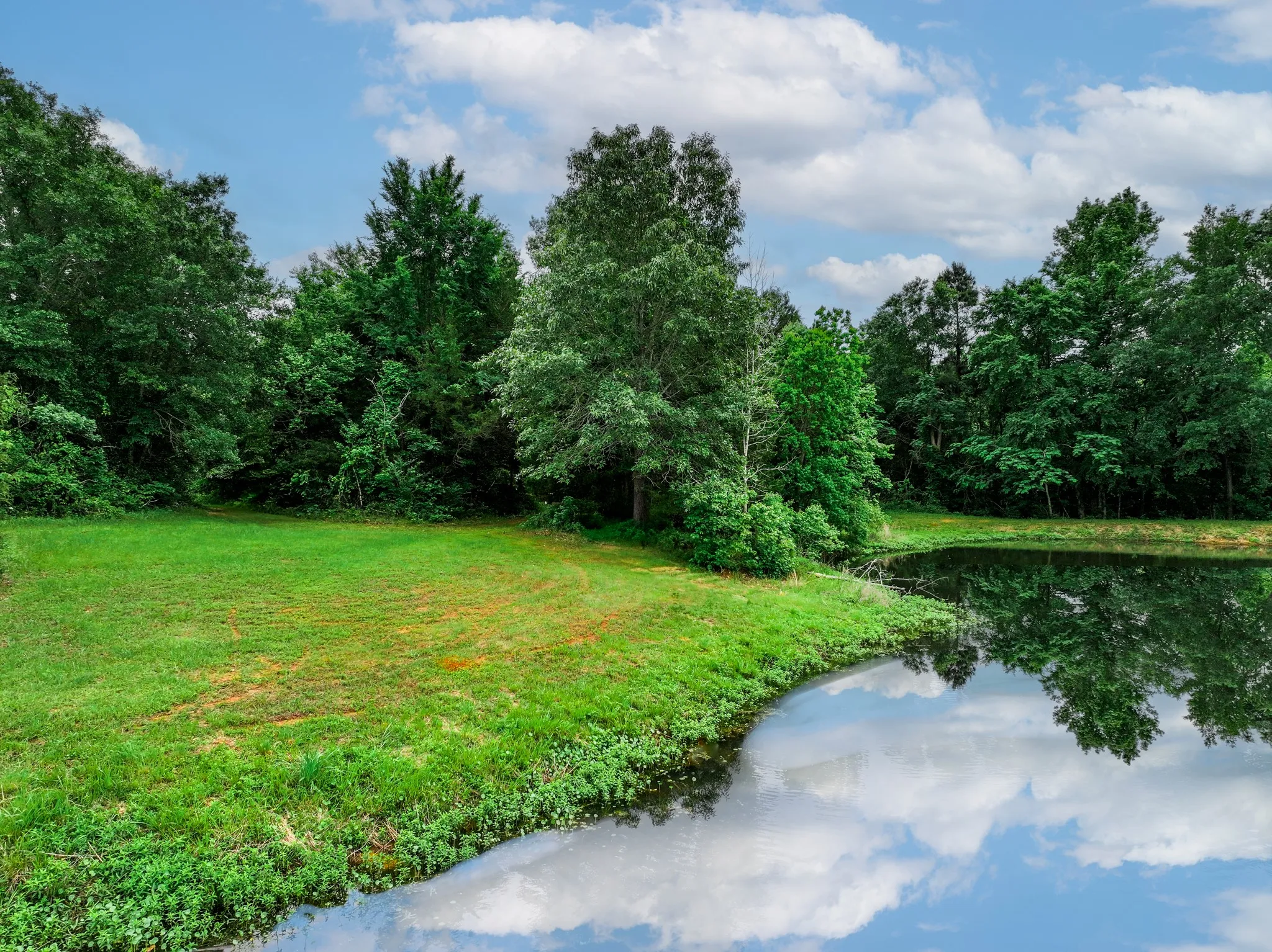 Ranch For Sale in Anderson County , 3732 US Highway 84, Palestine, Texas 75801, 0, 0, Garage spaces, 0 Sqft, built in 0, Price $1,776,700, mls#21144306, Real Estate Agent in Palestine, Homes For Sale in Anderson county, Homes For Sale in Palestine, Realtor in Palestine Texas, Real Estate Brokerage Independent Realty Texas, Luminita Cordes Realtor